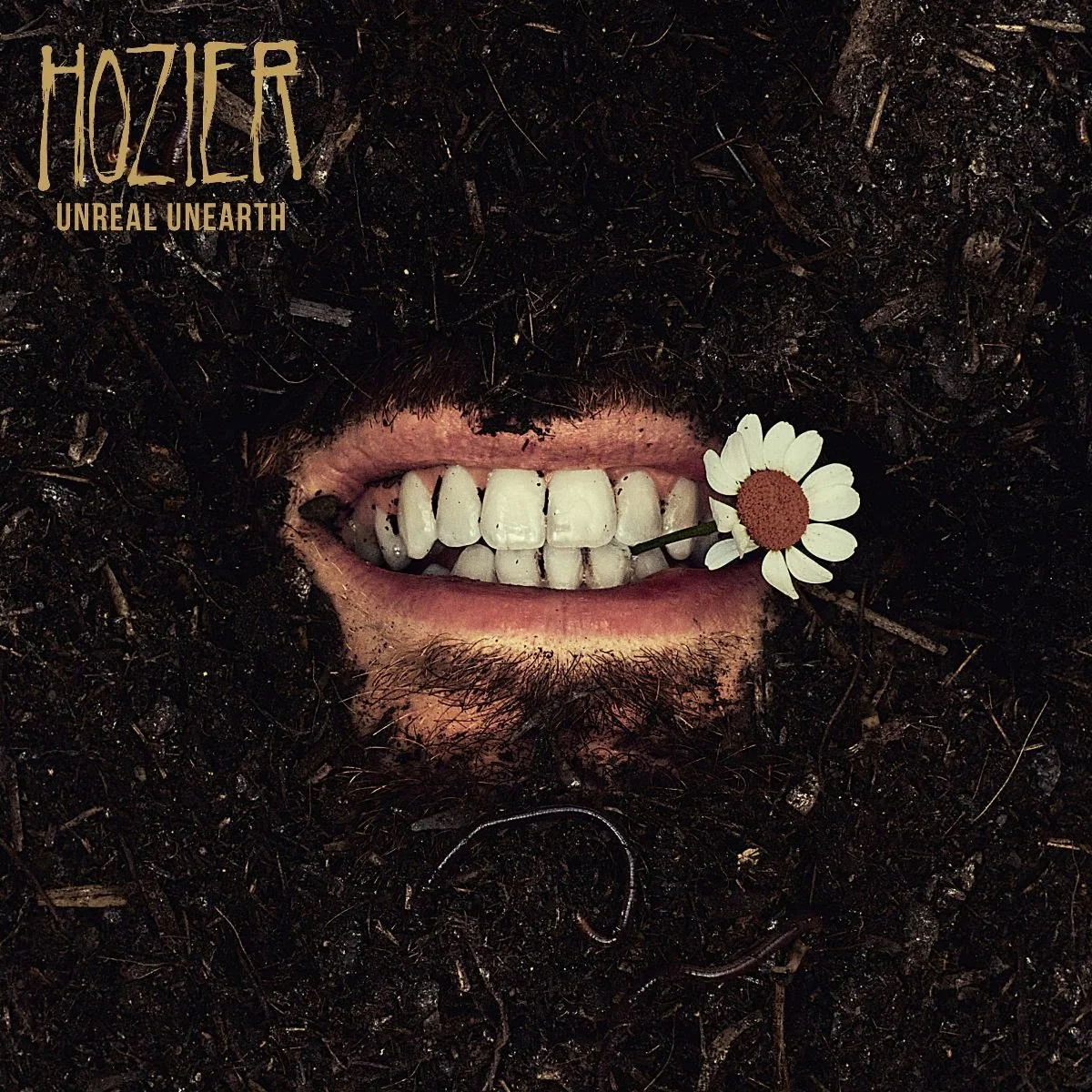 Album Review: Hozier - 'Unreal Unearth'