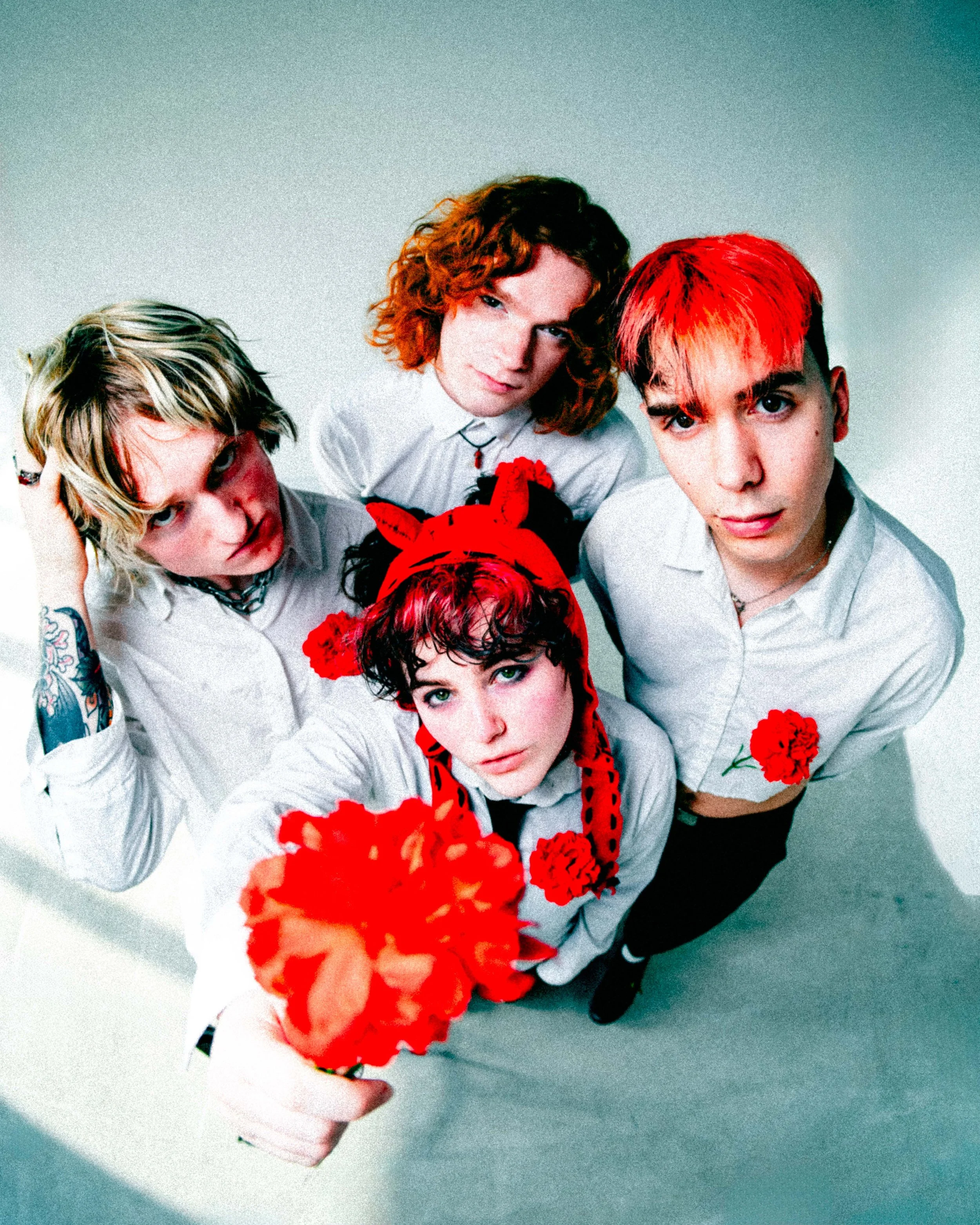 Artio - 'Wallflower'