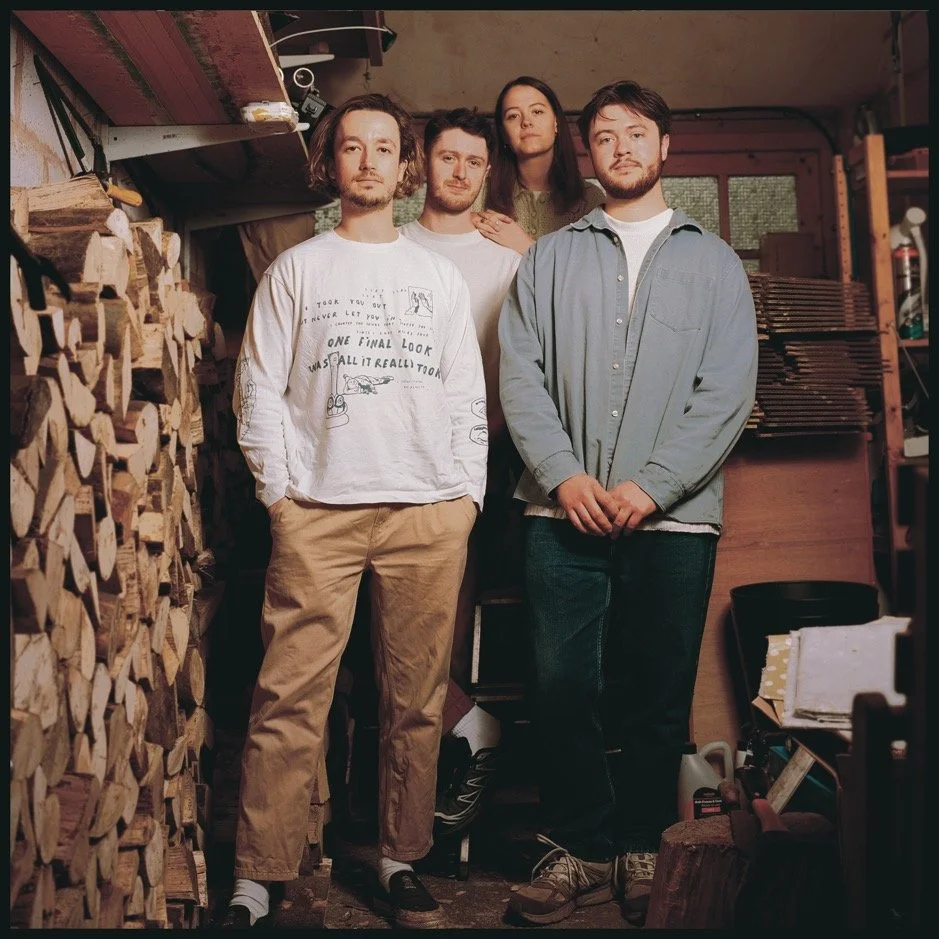 Chartreuse 'Whippet'