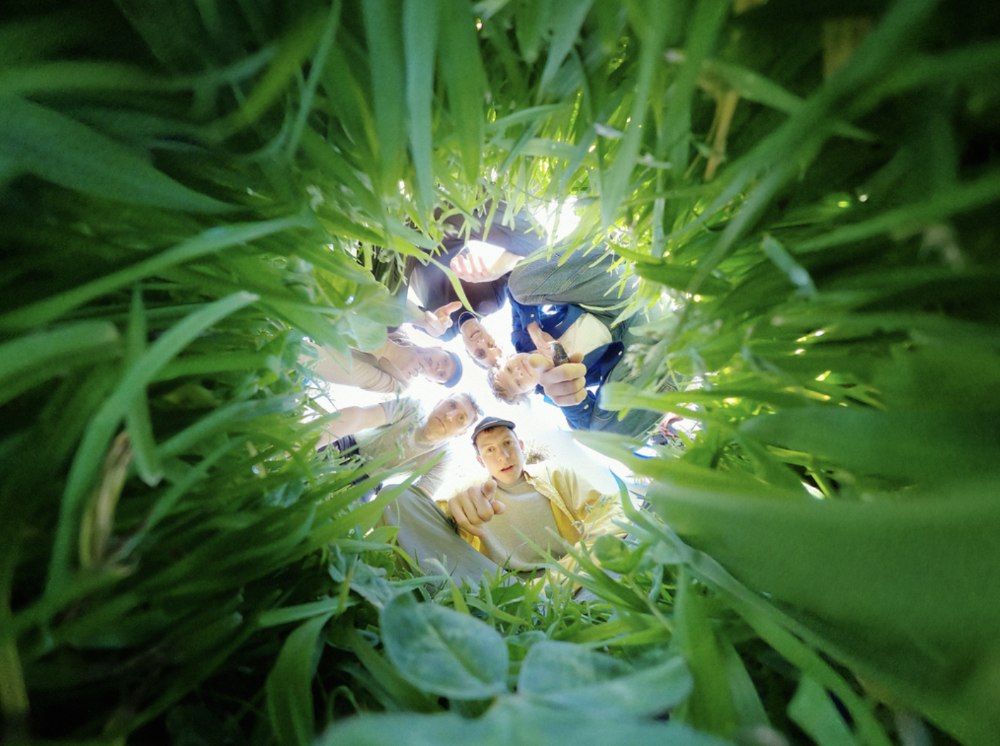 Squid - 'Crispy Skin'