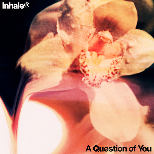 Inhaler - 'A Question Of You'
