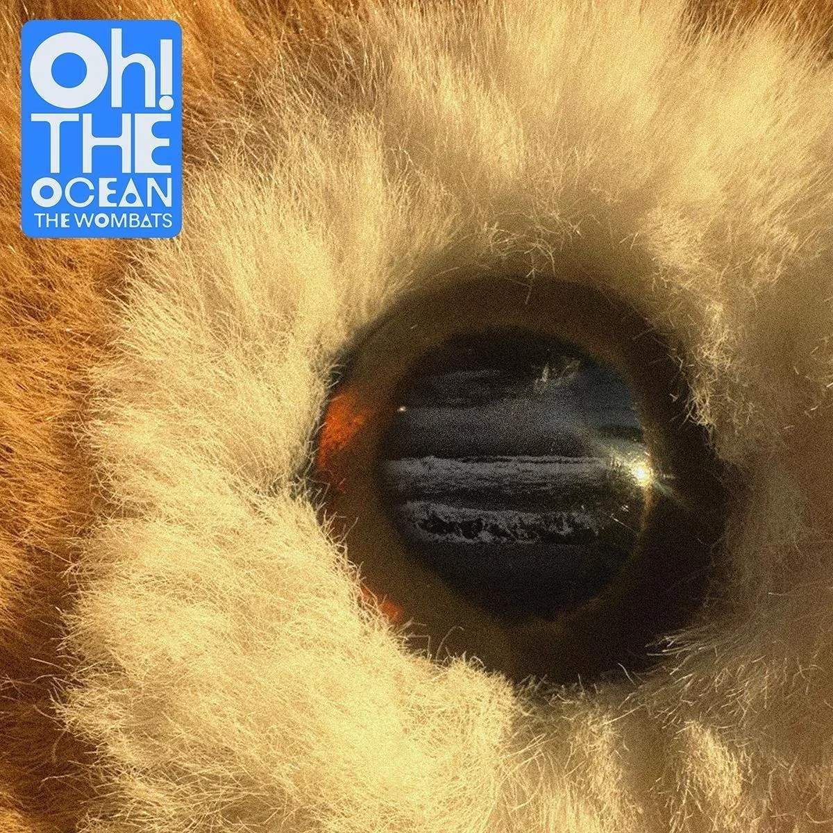 Album Review: The Wombats - 'Oh! The Ocean'
