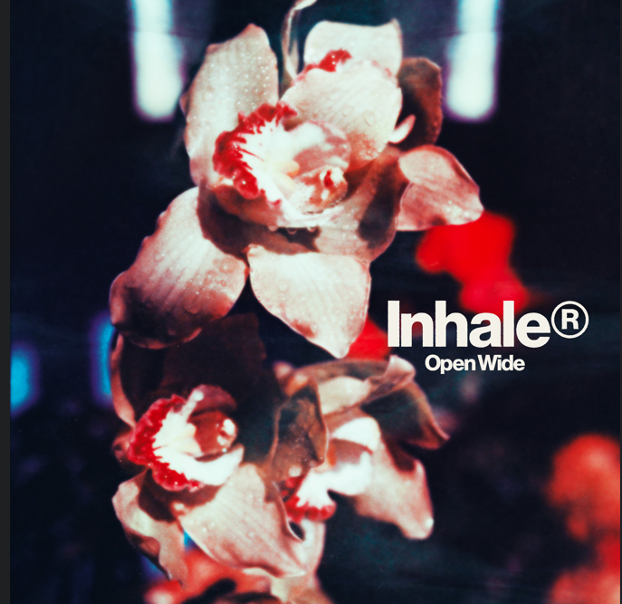 Album Review: Inhaler - 'Open Wide'
