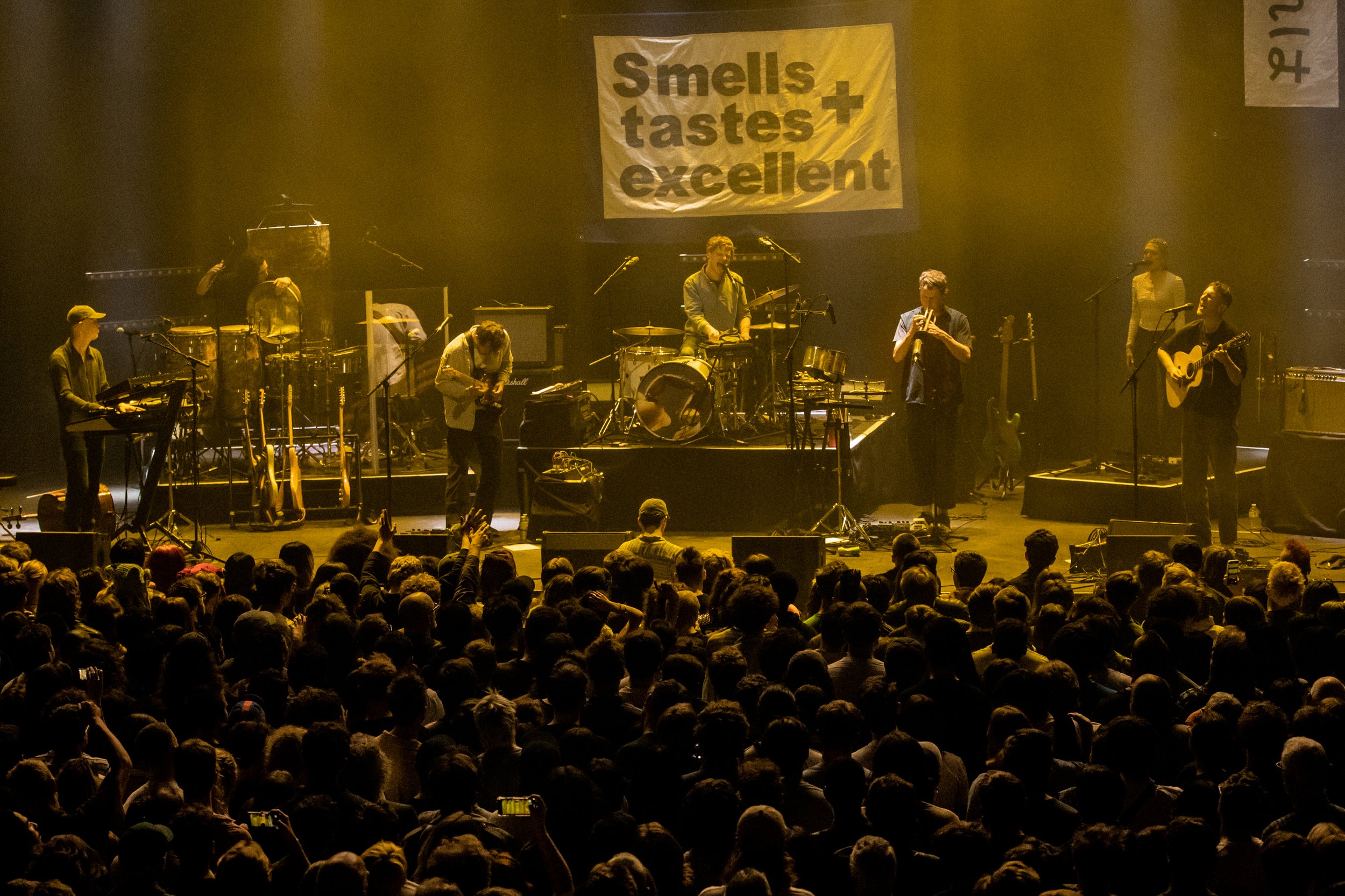 Live Review: Squid - Roundhouse, London 26/04/2025