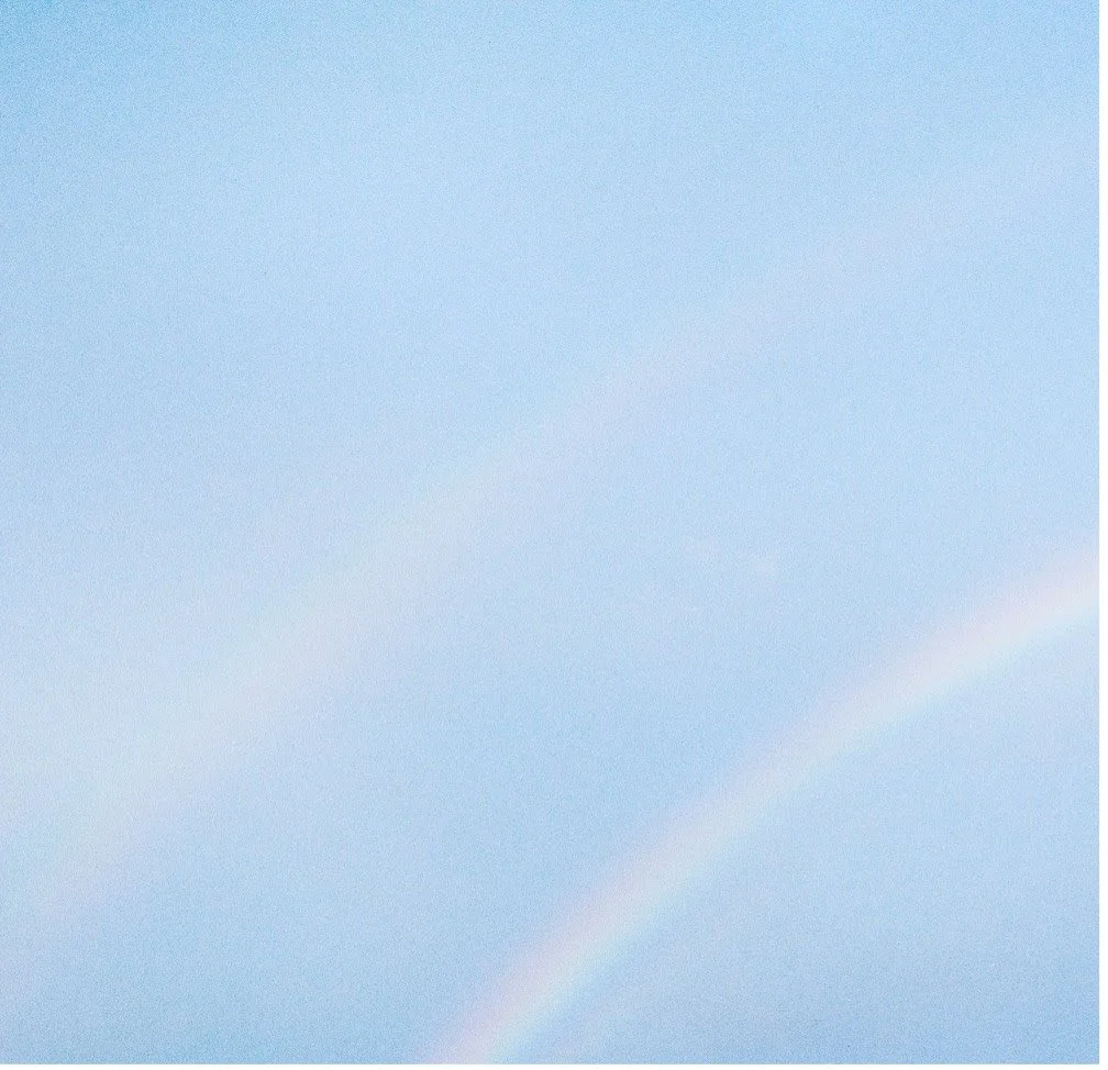 Album Review: Turnstile - 'Never Enough'