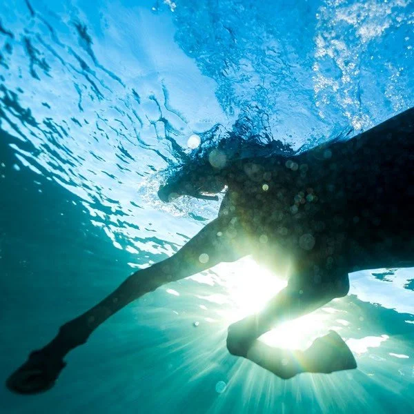 Album Review: Dream Nails - 'You Wish'