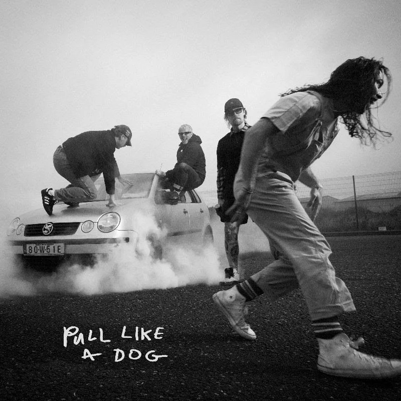 Album Review: The Scratch - 'Pull Like A Dog'