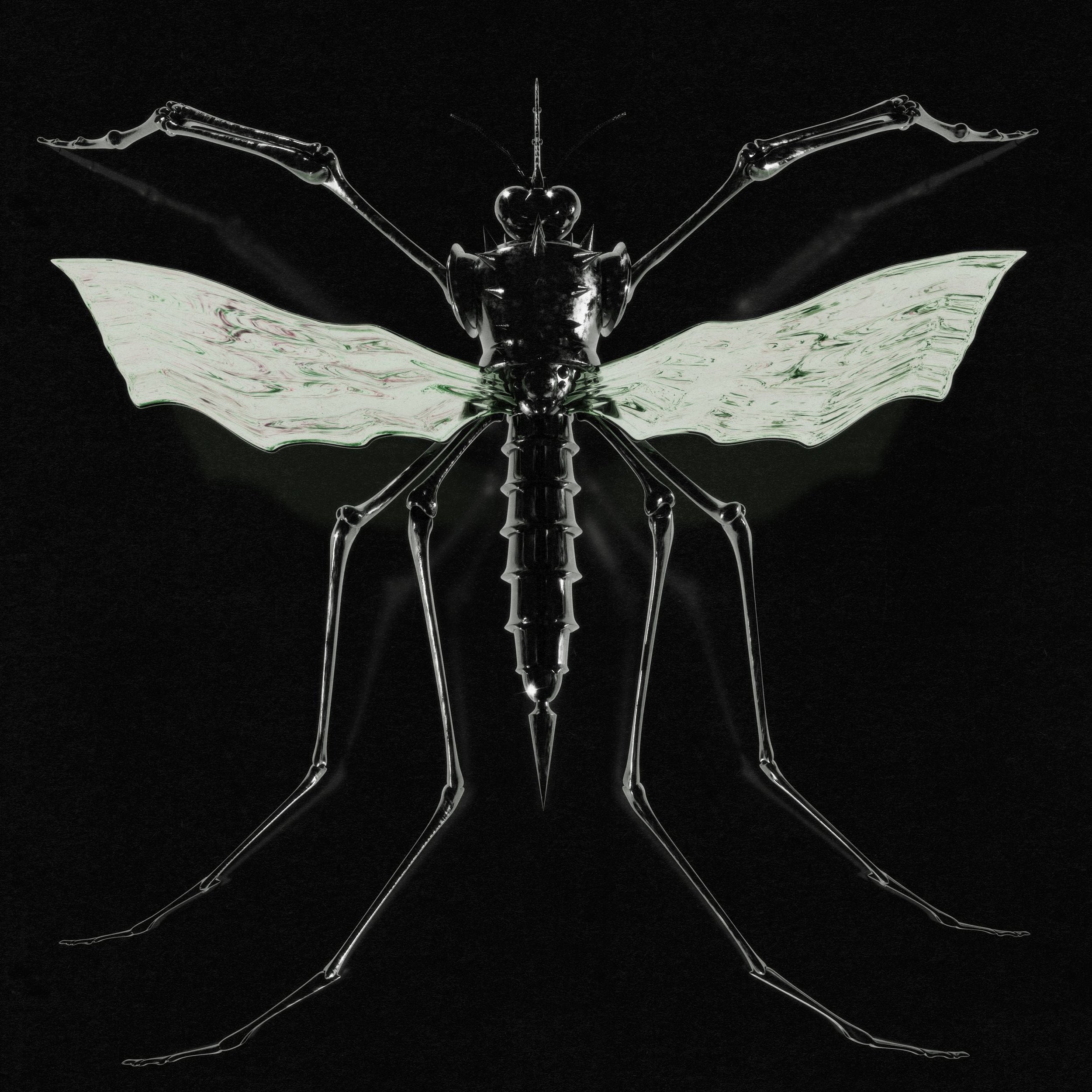 Album Review: Wax Head - 'GNAT'