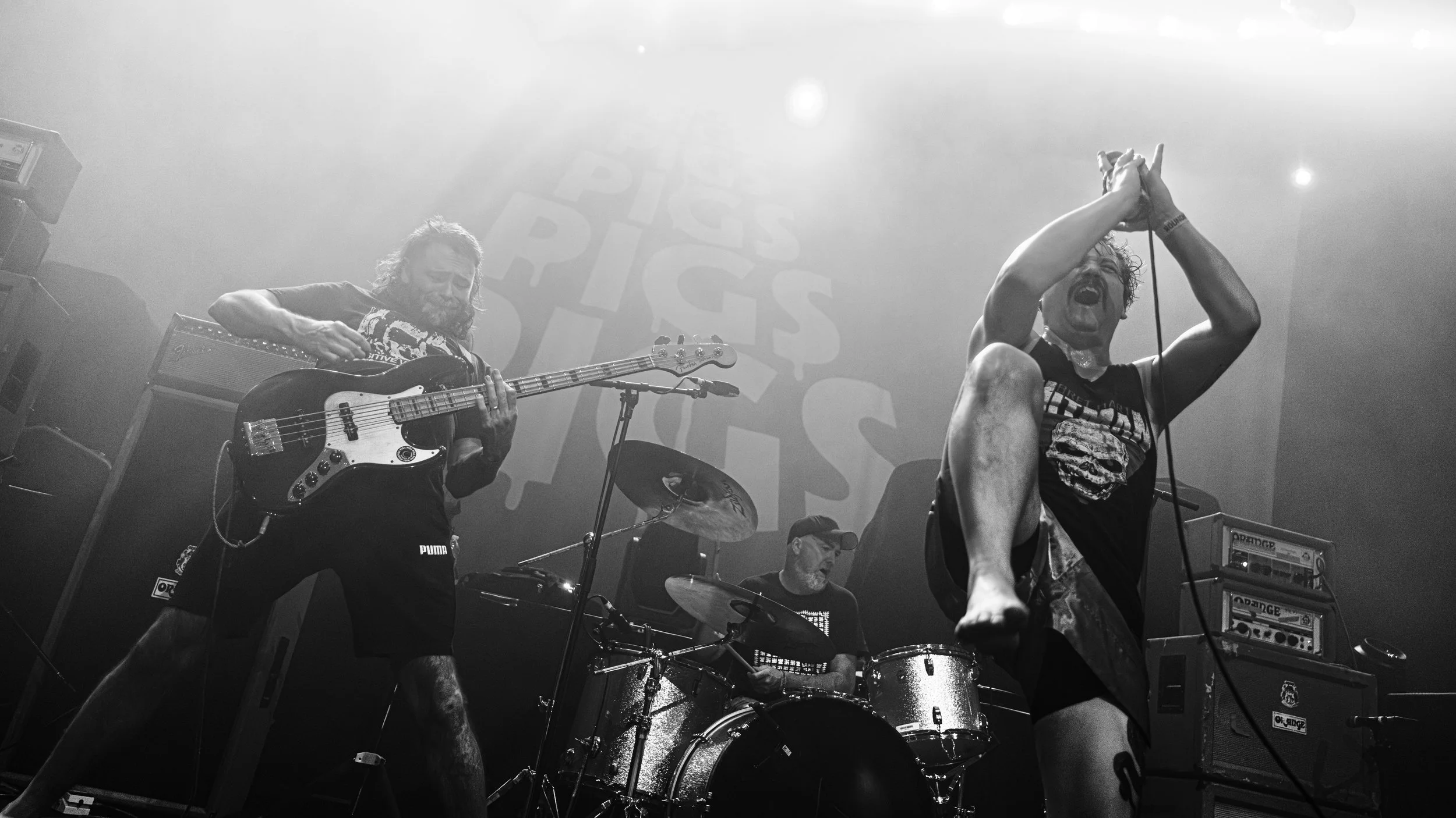 Pigsx7-065.jpg