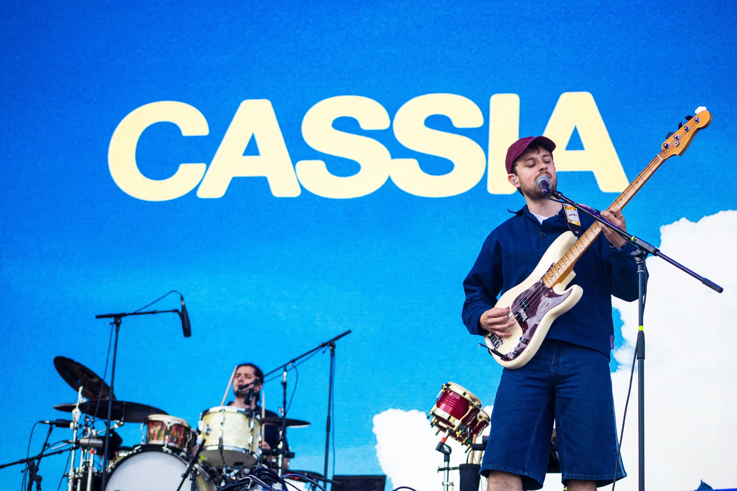 Cassia .JPG