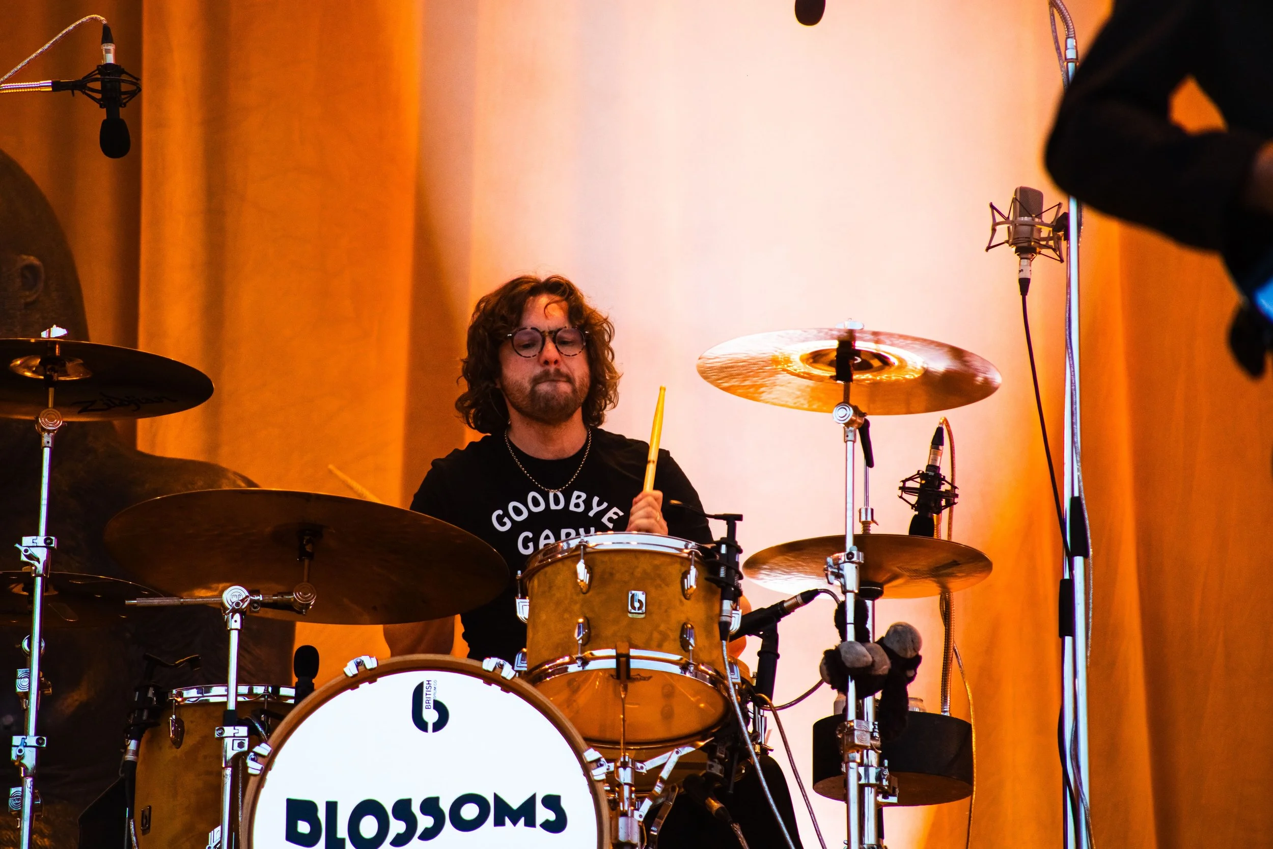 Blossoms 3.jpg