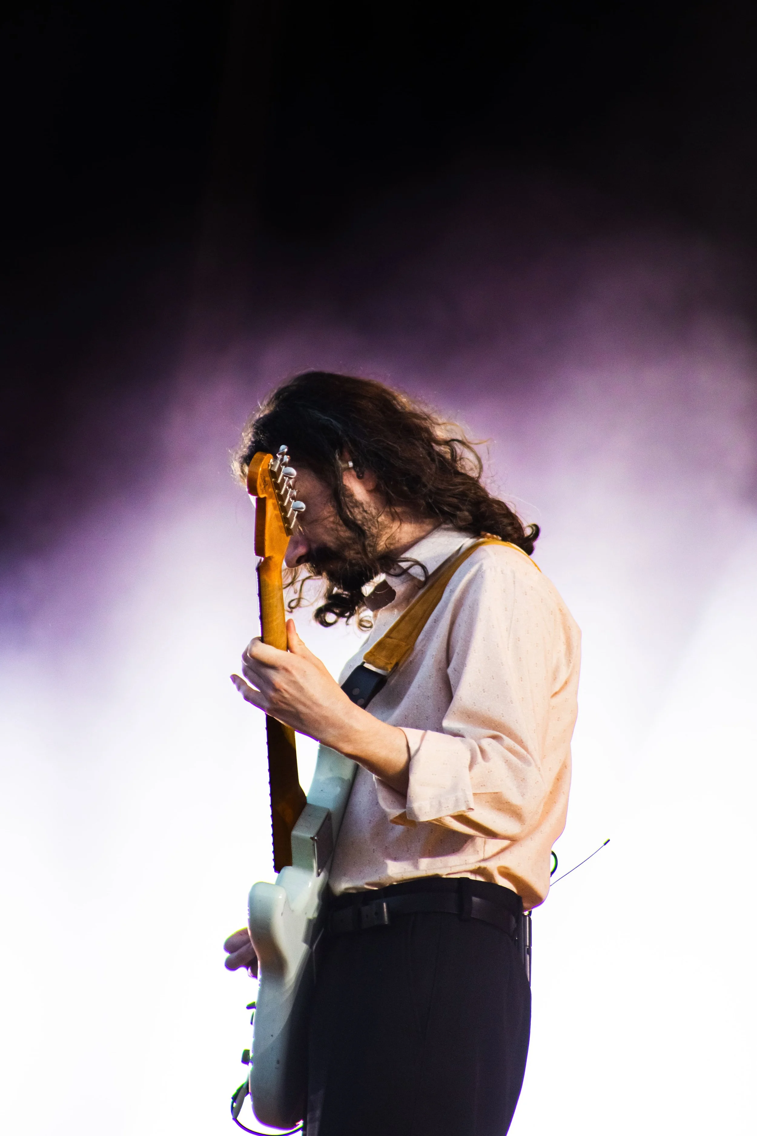 Blossoms 5.jpg