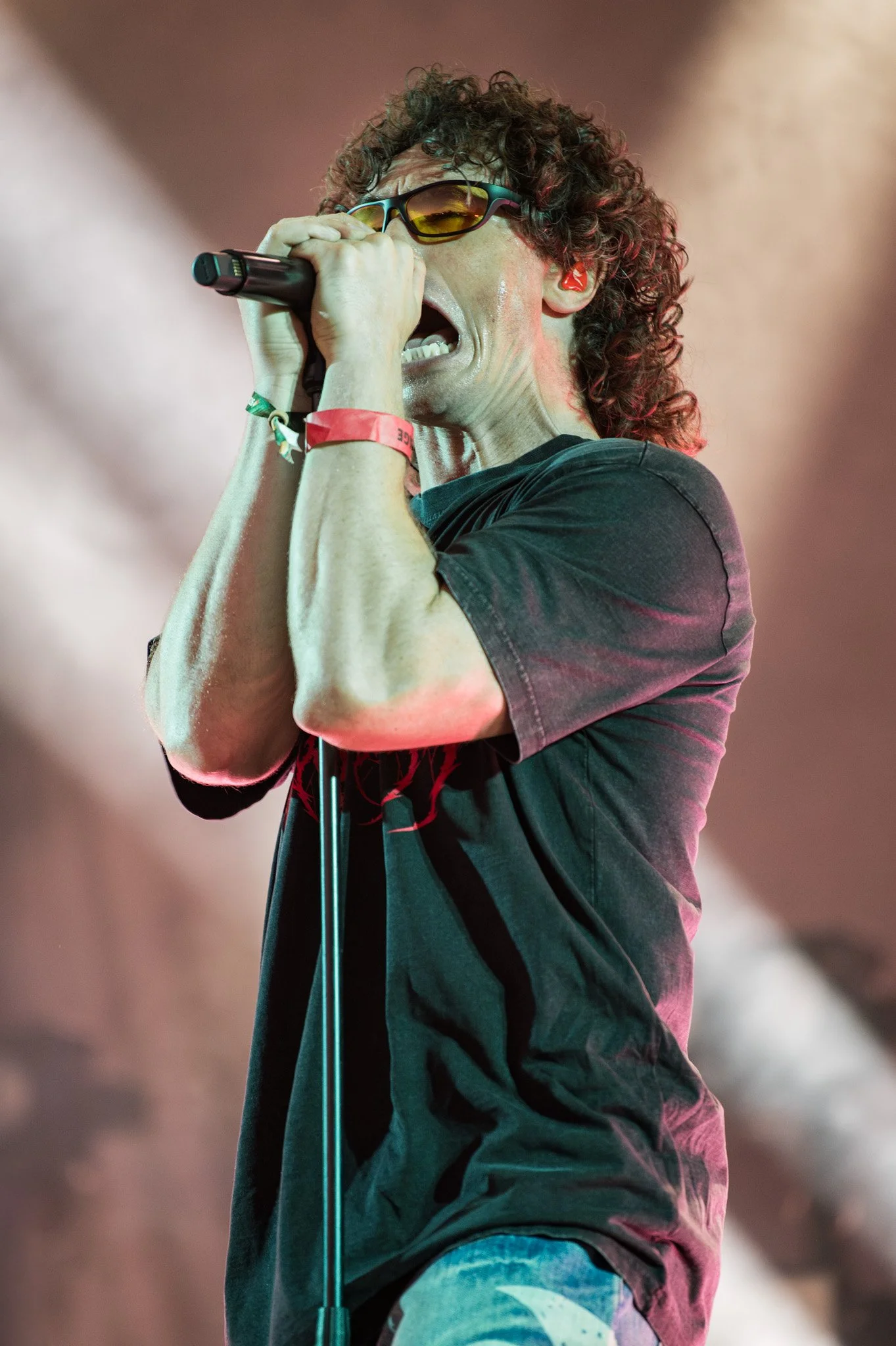 JKPhoto-Trees26-DonBroco-S-3.jpg