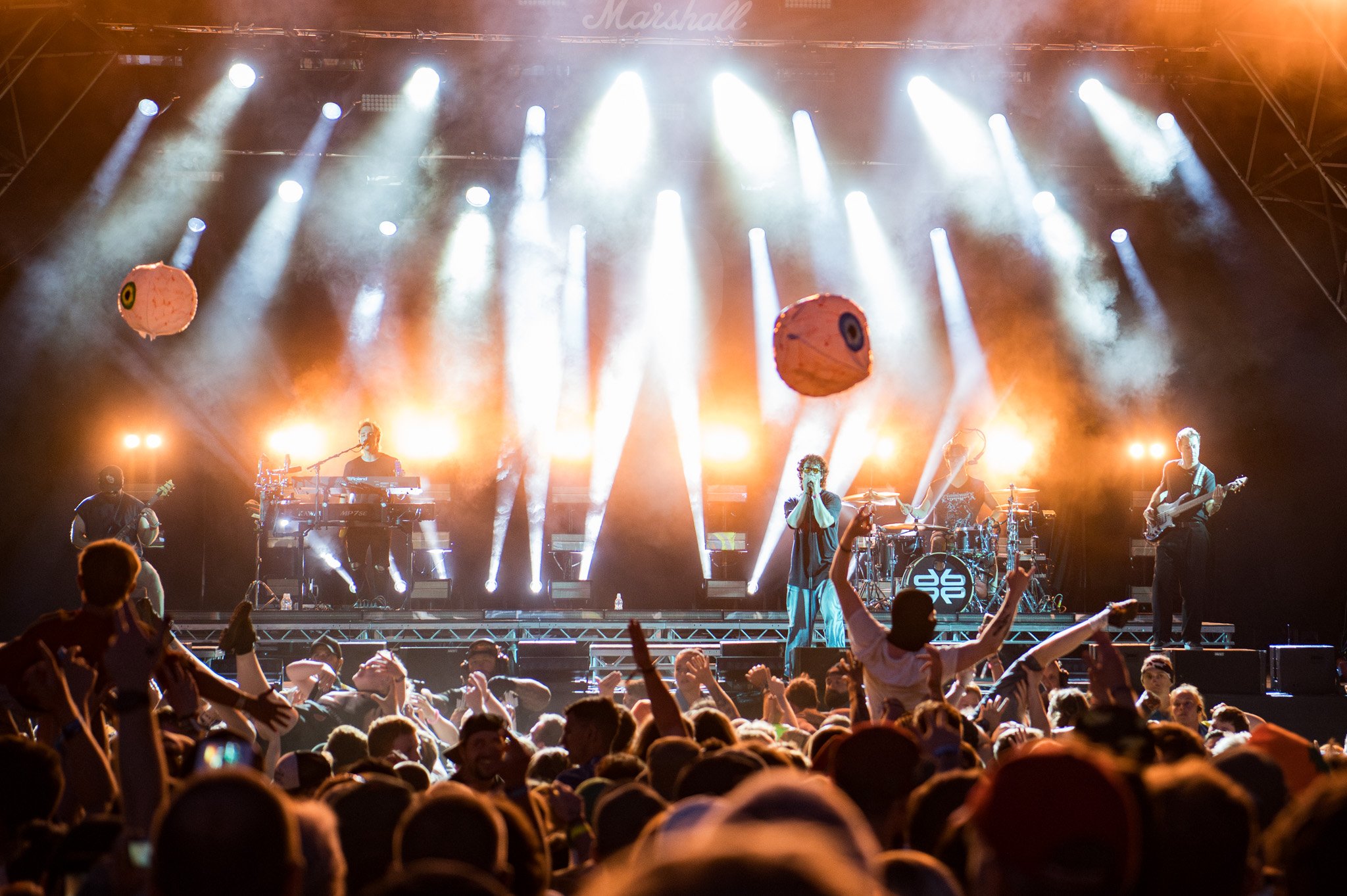 JKPhoto-Trees26-DonBroco-S-9.jpg