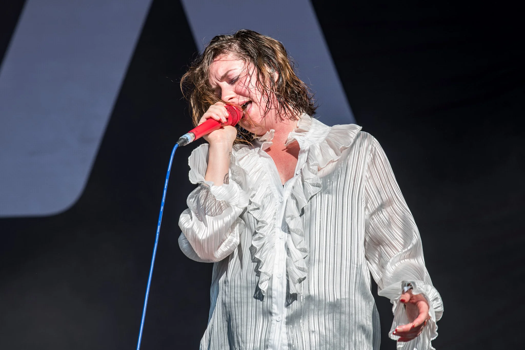 JKPhoto-Trees26-Marmozets-S-2.jpg