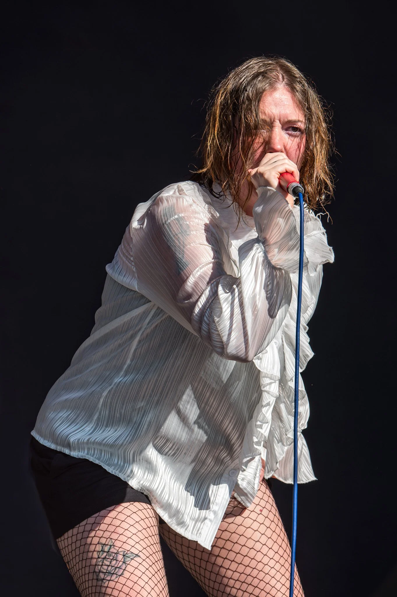 JKPhoto-Trees26-Marmozets-S-3.jpg
