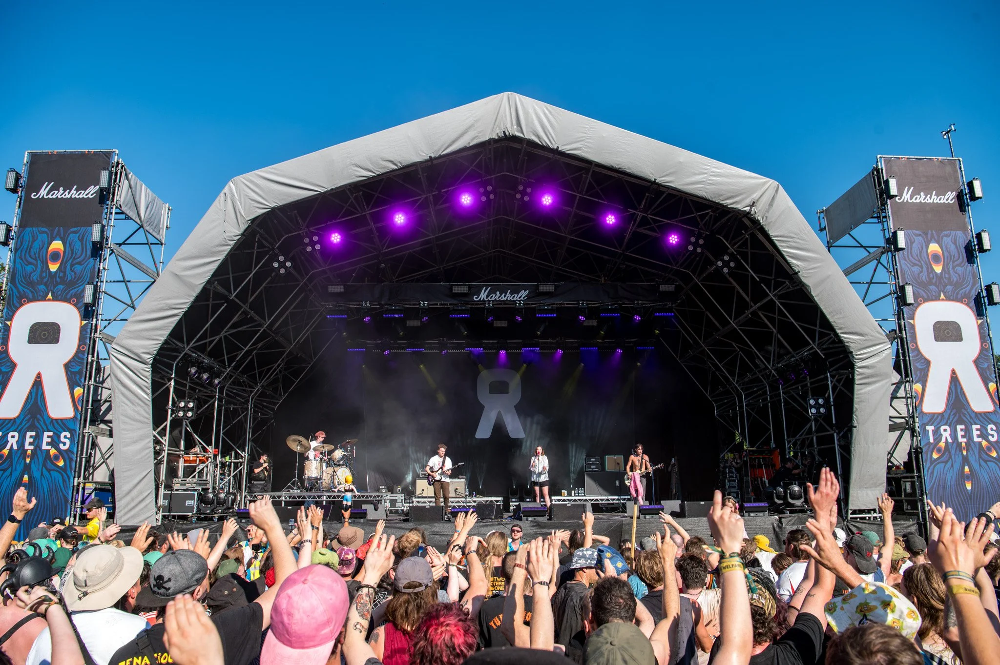 JKPhoto-Trees26-Marmozets-S-8.jpg