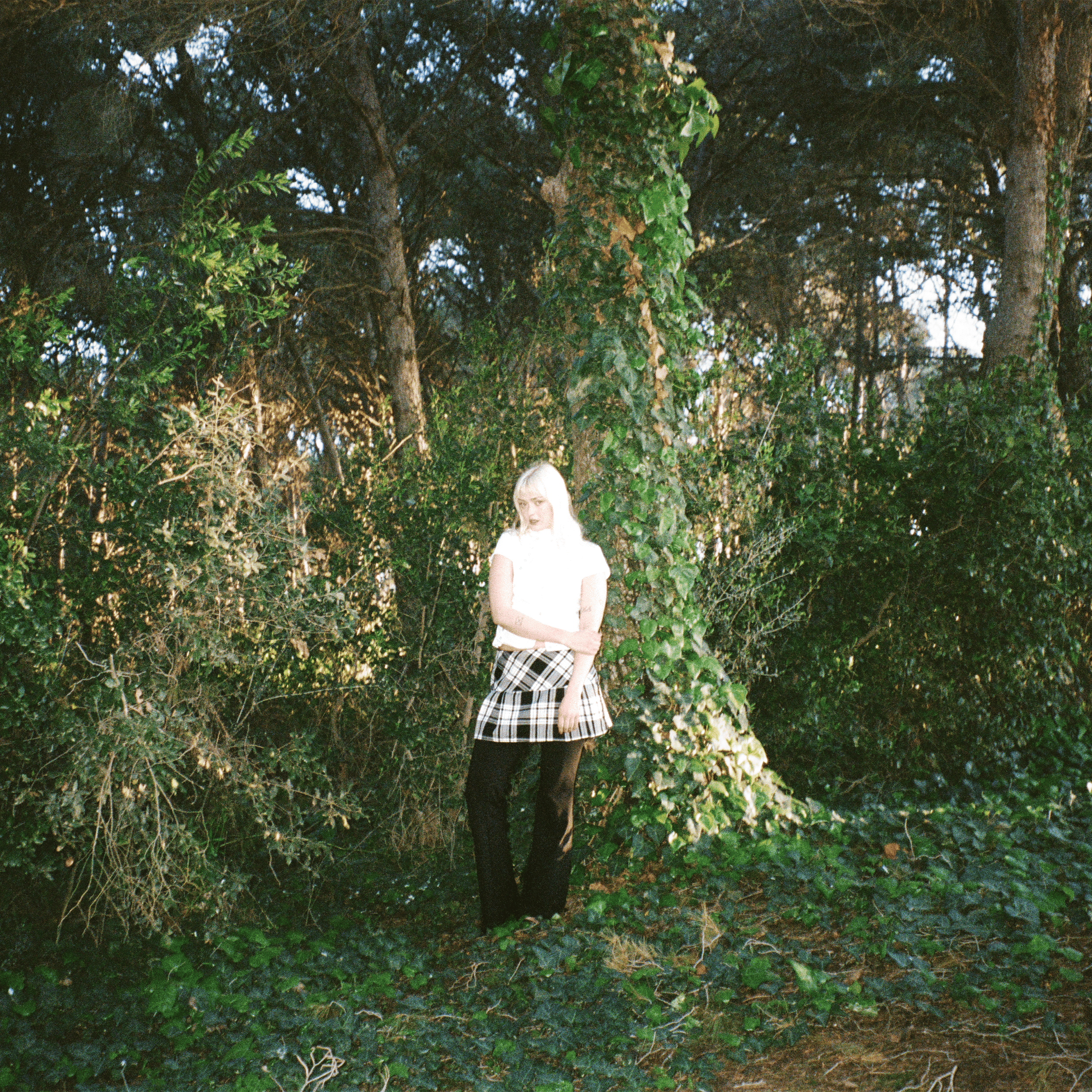 Album Review: Matilda Lyn - 'Red Dragonfly'