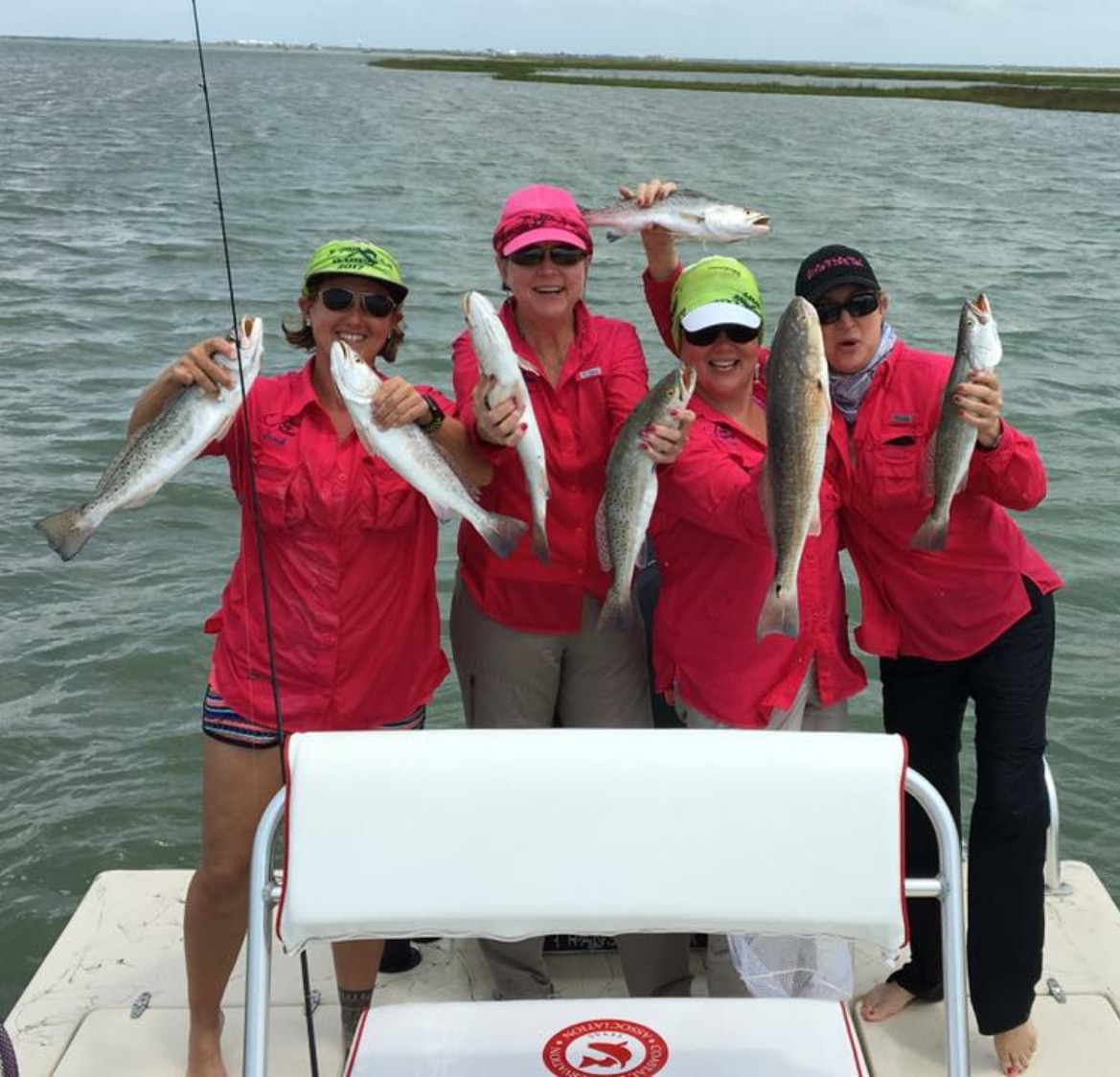 Rules вЂ” Babes On