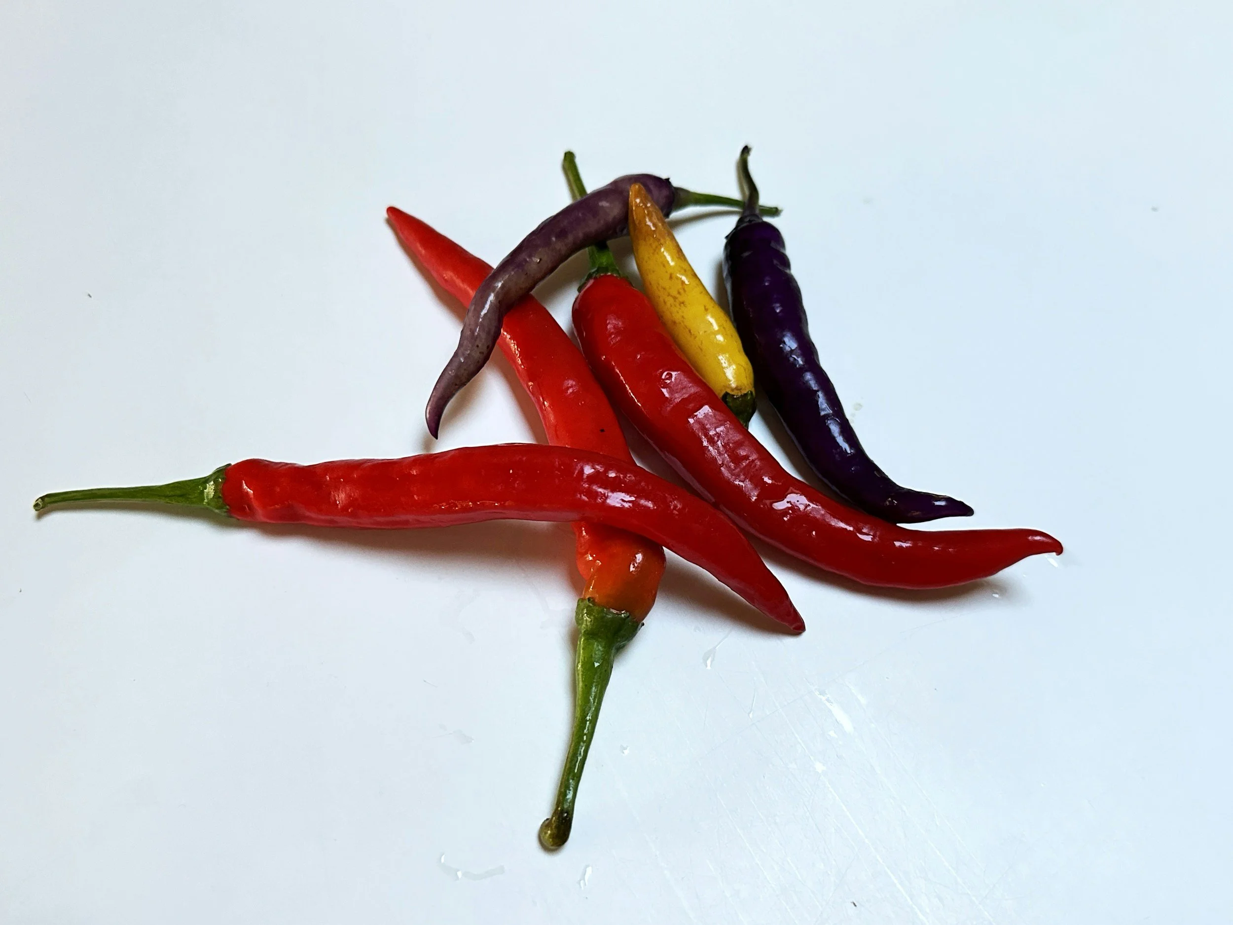 Why Authentic Mexican Flavor is Built on Dried Chilies
