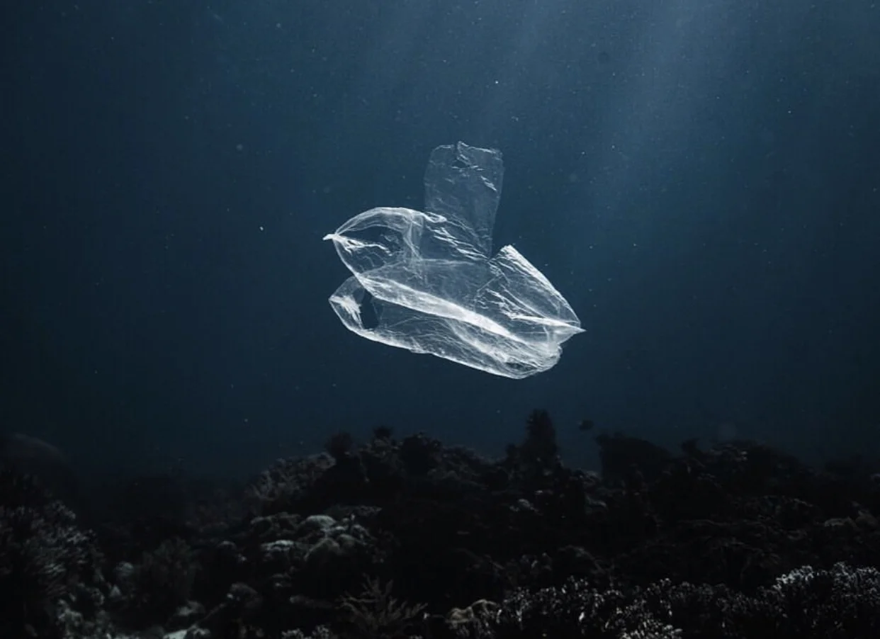 Makeup artist Holly Silius selects Parley For The Oceans who strive to protect the world’s oceans