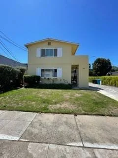 1207Paloma#1_3.jpg