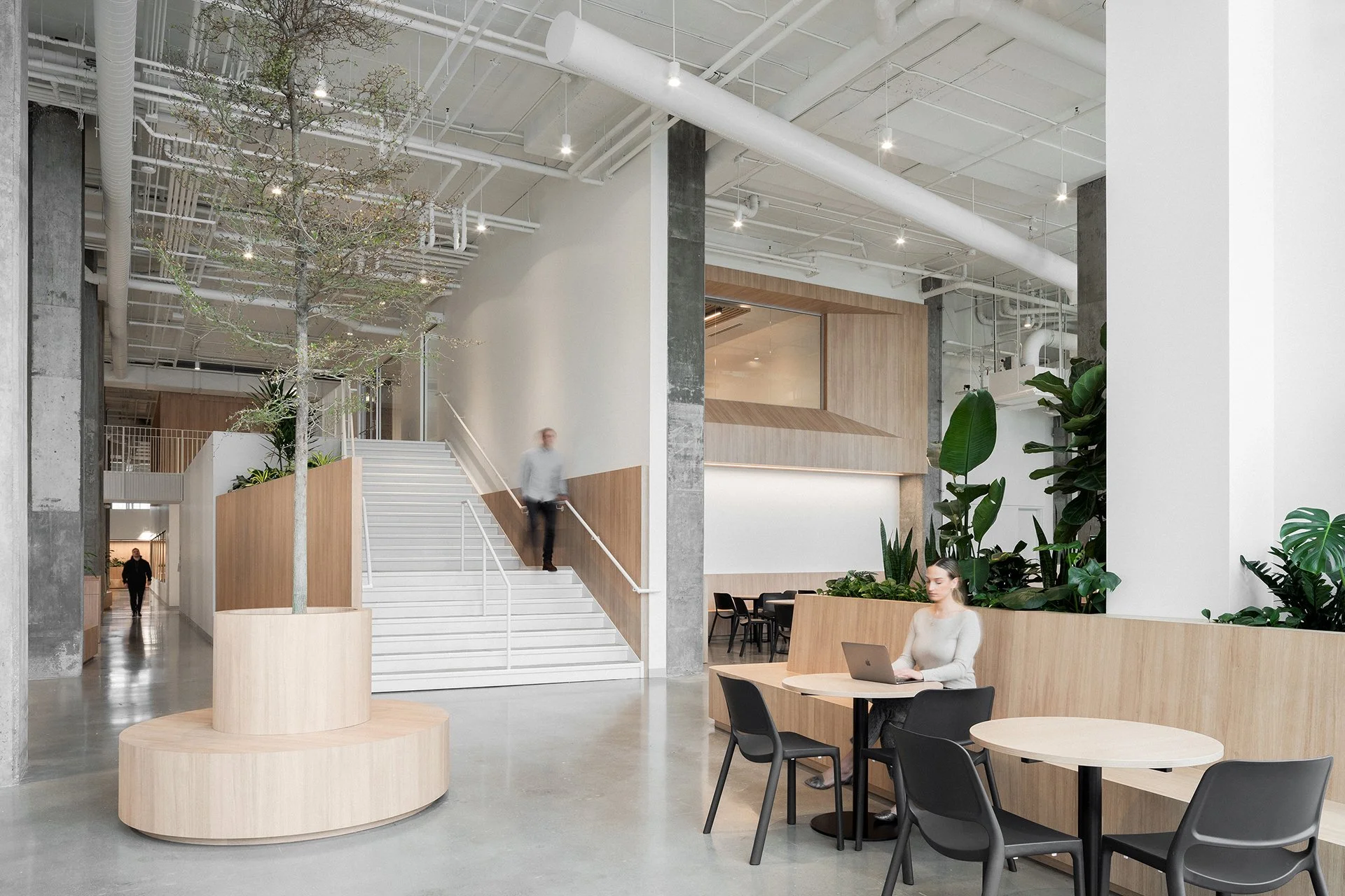 Aménagement commercial à Brossard par DESK architectes