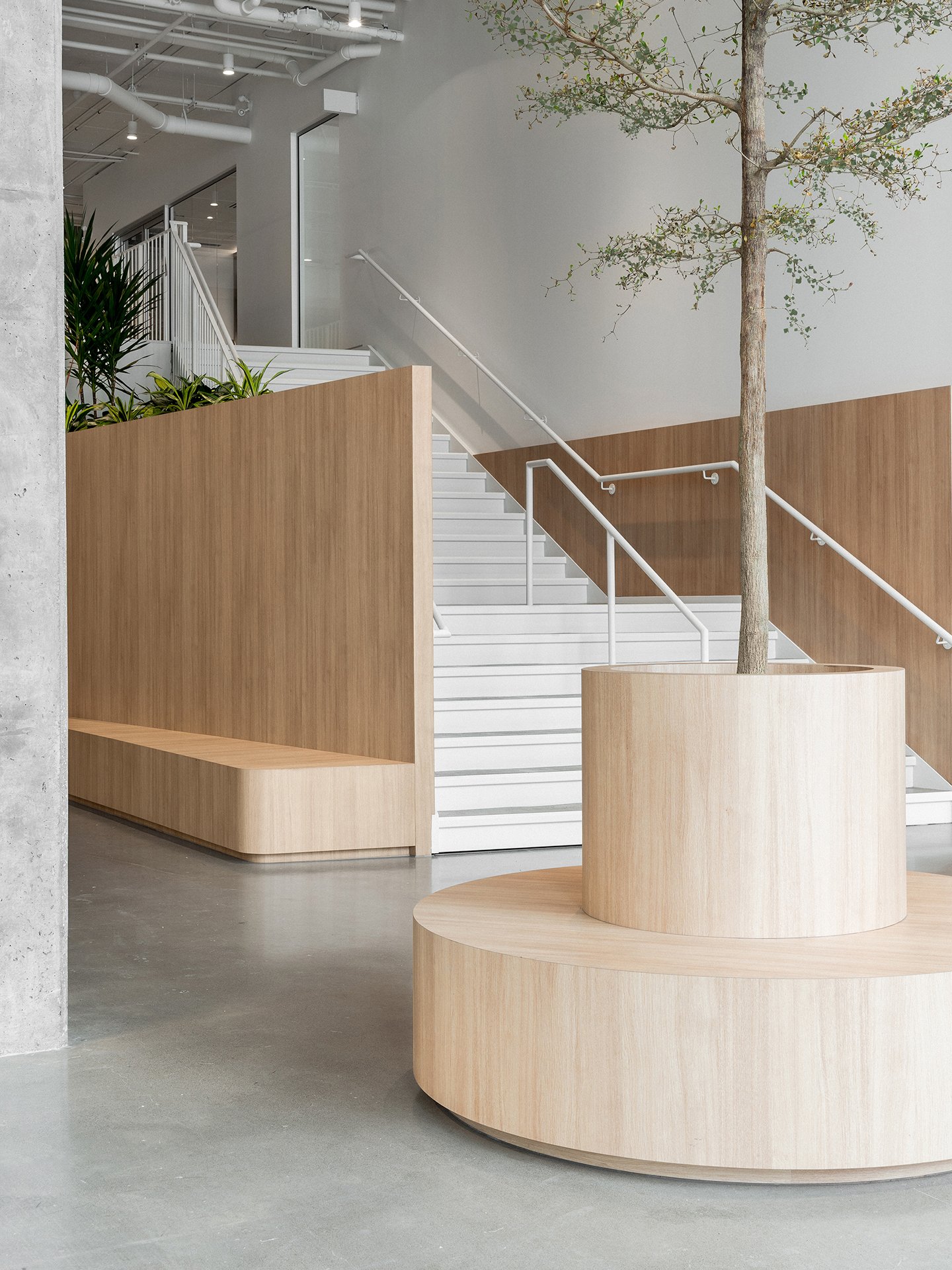 Aménagement commercial à Brossard par DESK architectes