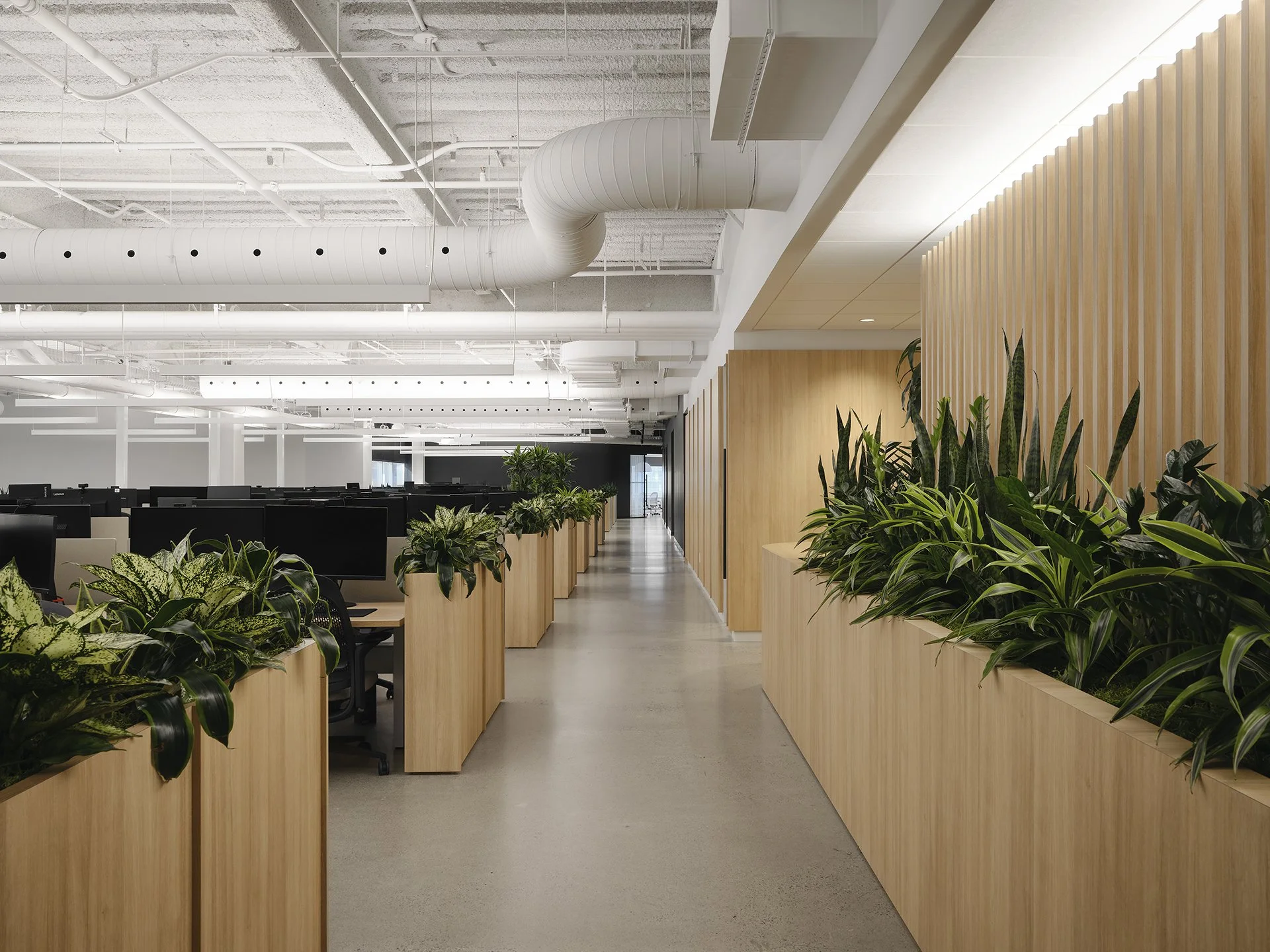 Aménagement de bureau au centre-ville de Montreal par DESK architectes