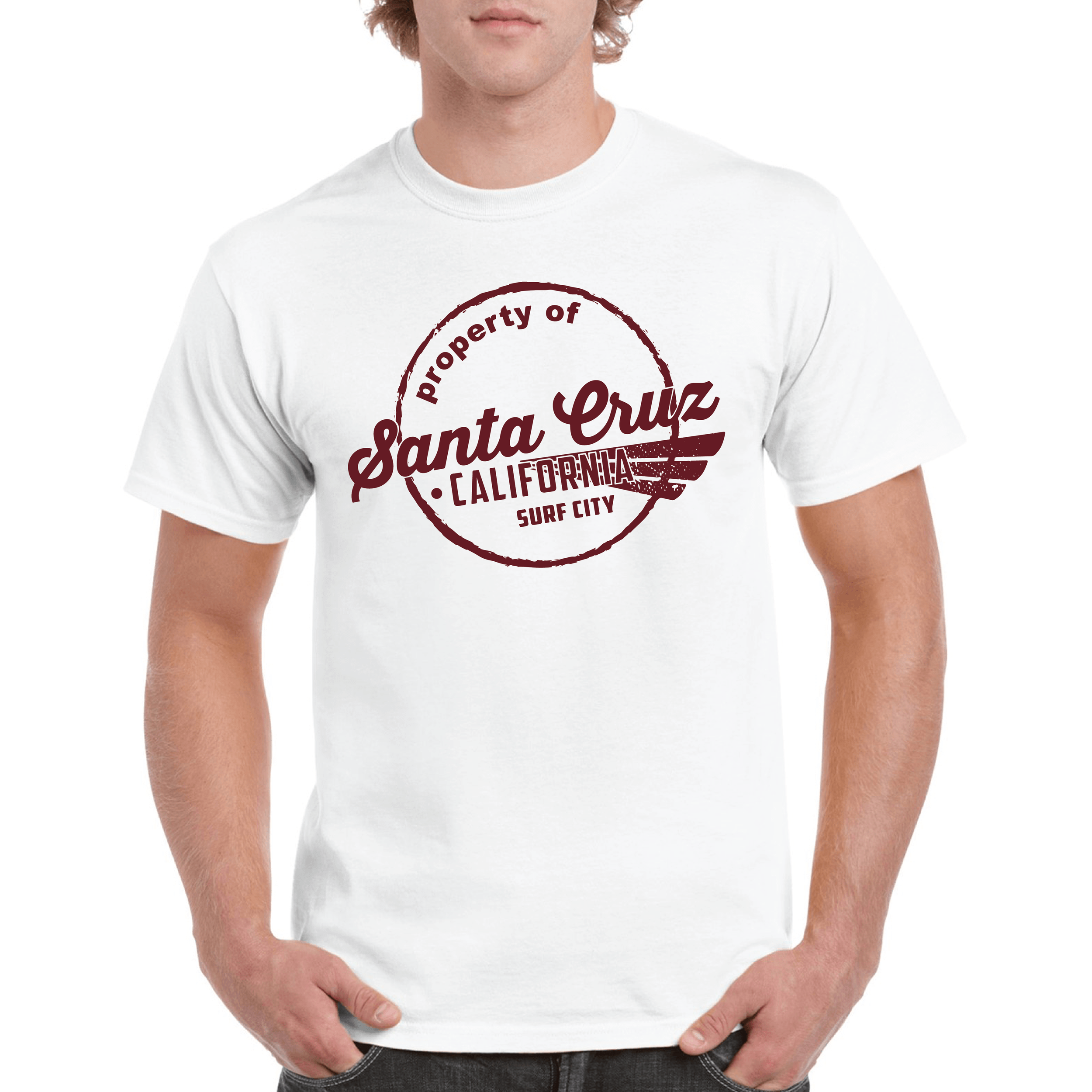 Santa Cruz Circle Flare Mock Up-01.png