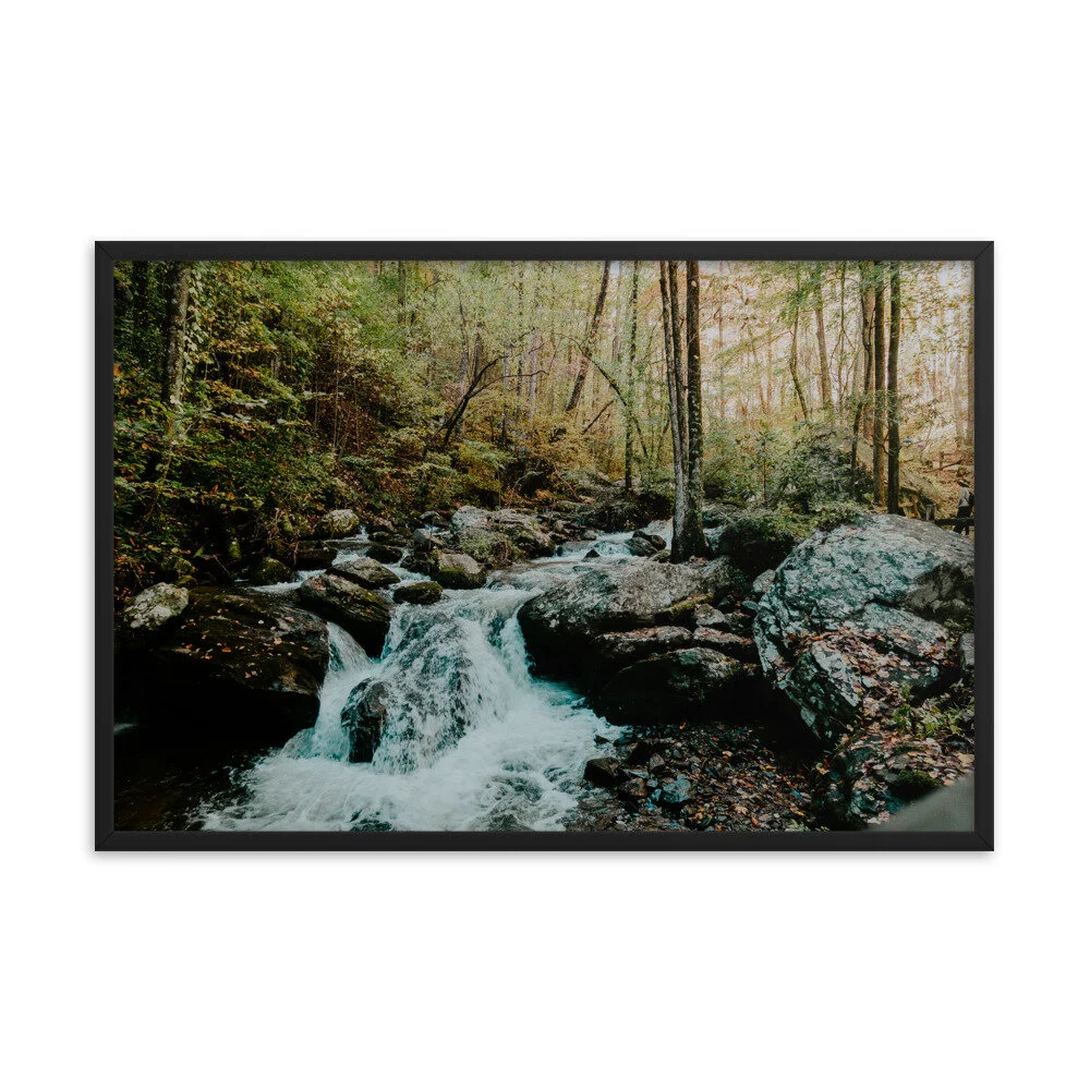 Anna Ruby Falls Creek Landscape Wall Art