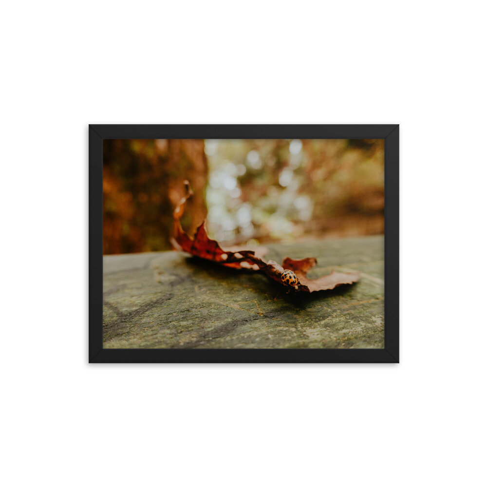 fall-leaf-with-ladybug-frame_mockup_Transparent_Transparent_12x16_Black.jpg