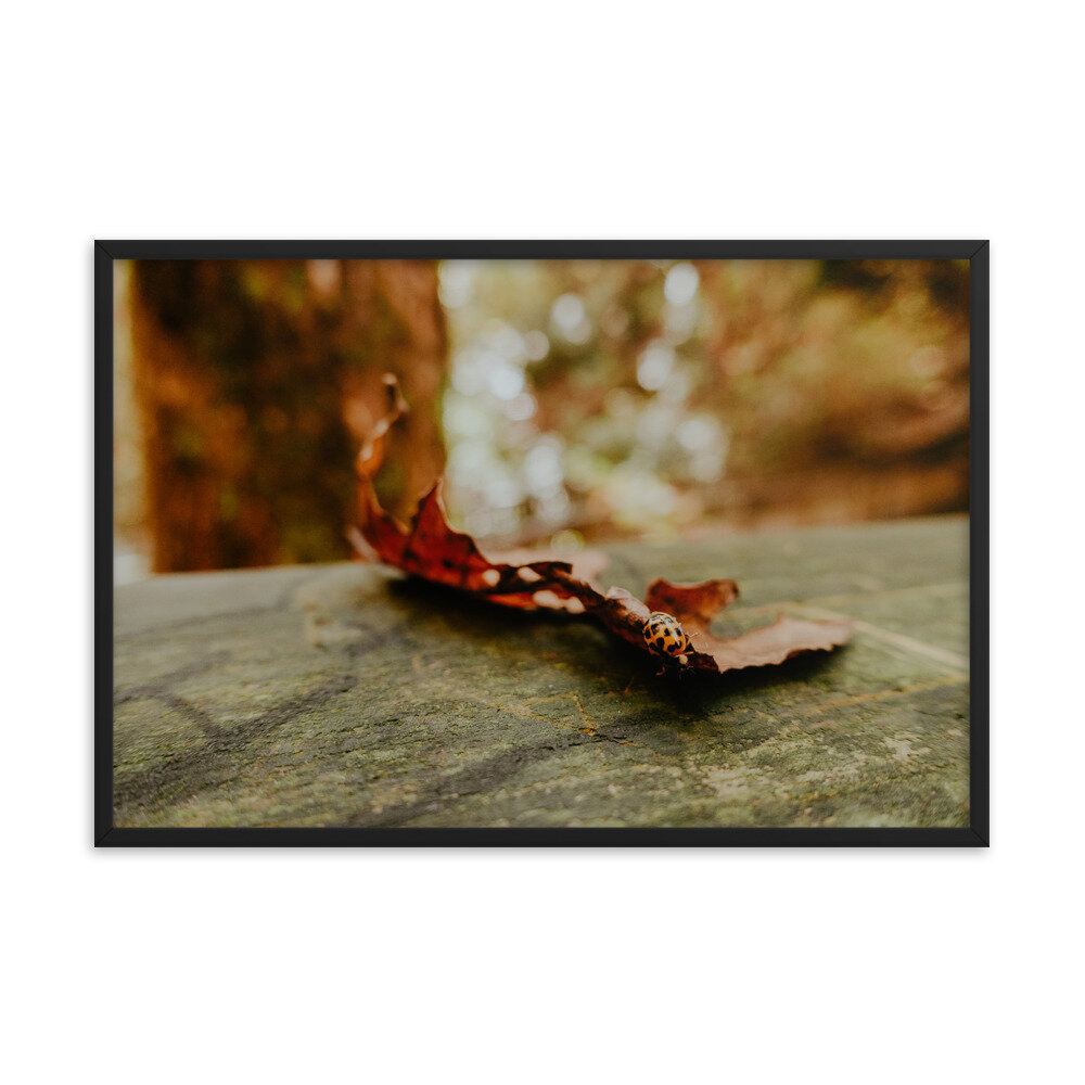 fall-leaf-with-ladybug-frame_mockup_Transparent_Transparent_24x36_Black.jpg