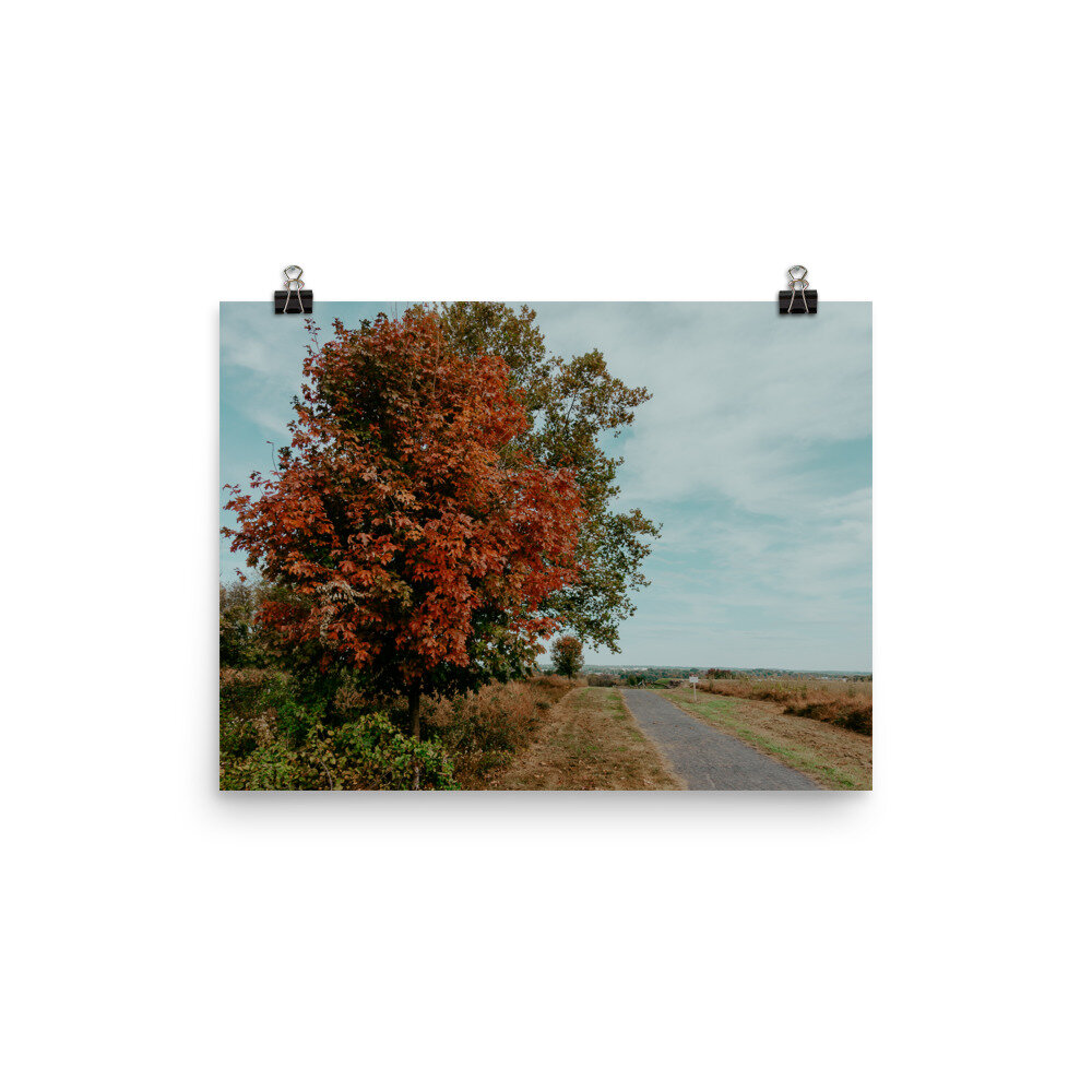 valley-forge-tree-landscape-poster_mockup_Transparent_Transparent_12x16.jpg