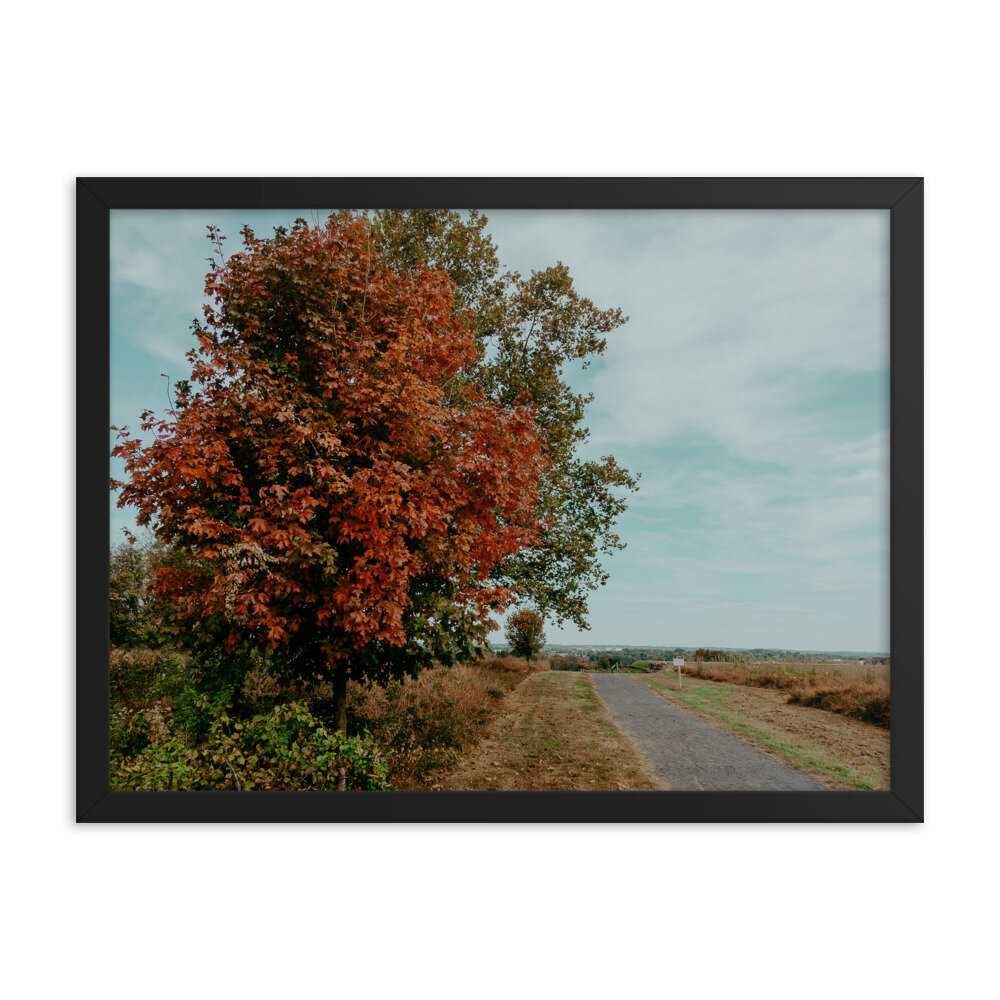 valley-forge-tree-landscape-frame_mockup_Transparent_Transparent_18x24_Black.jpg