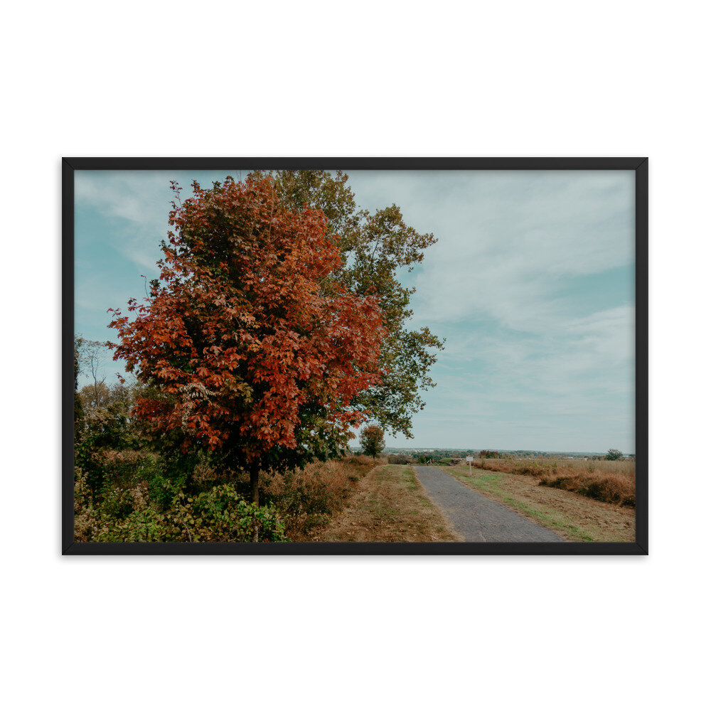 valley-forge-tree-landscape-frame_mockup_Transparent_Transparent_24x36_Black.jpg