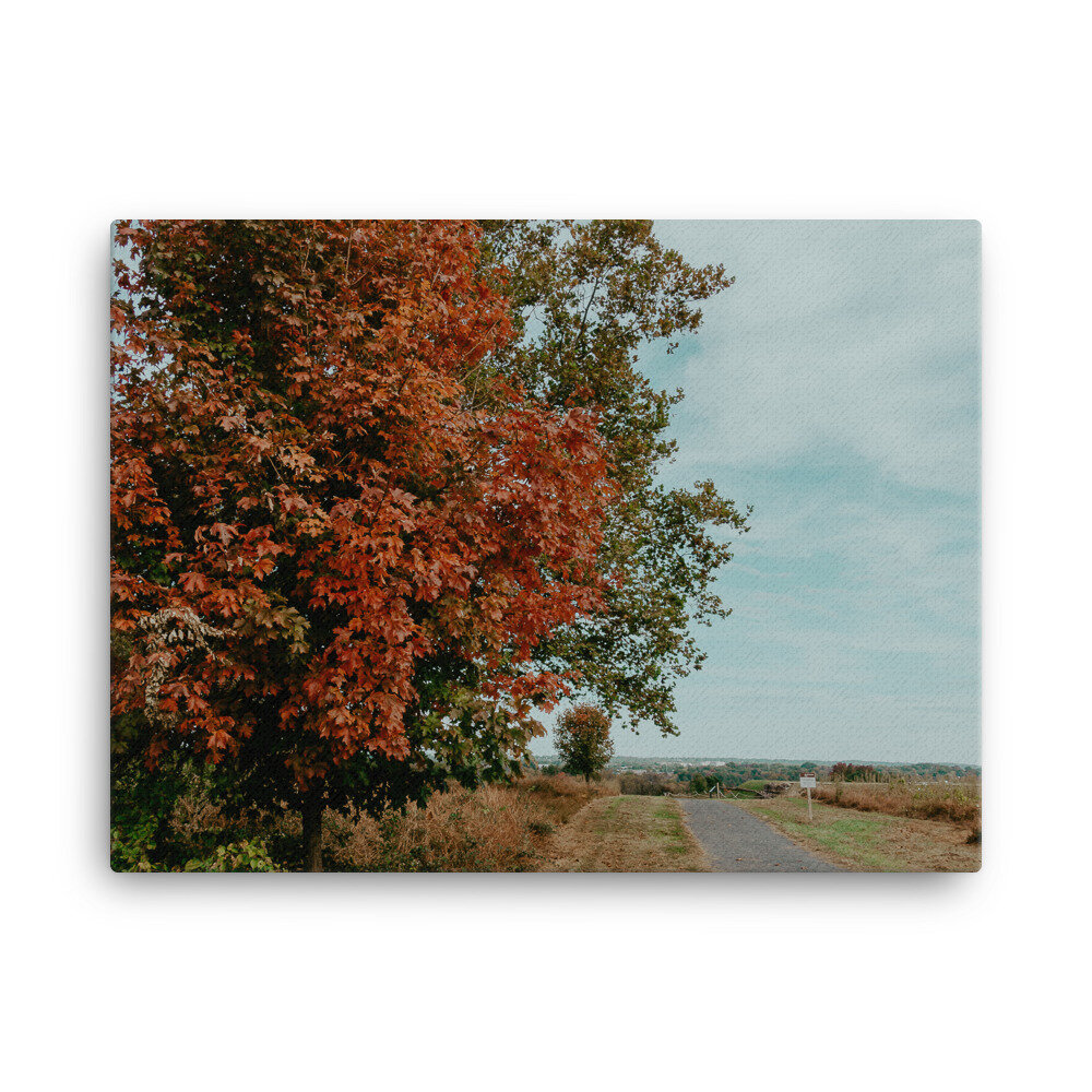 valley-forge-tree-landscape-canvas_mockup_Wall_Wall_18x24.jpg