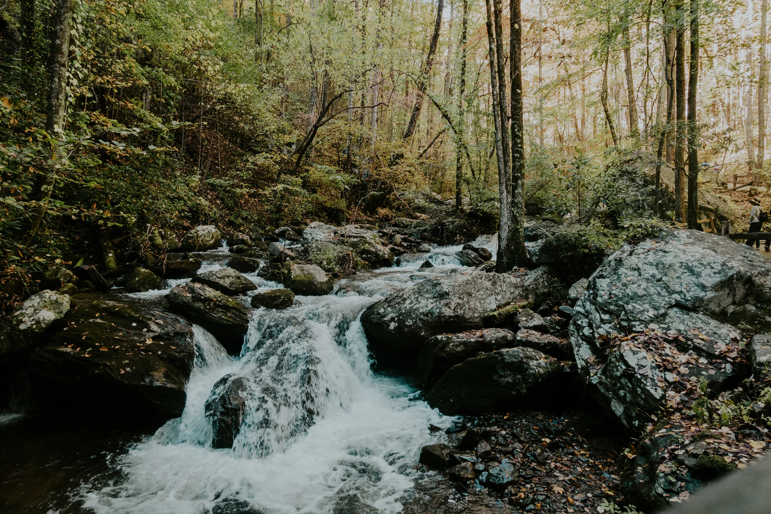amicalola falls.jpg