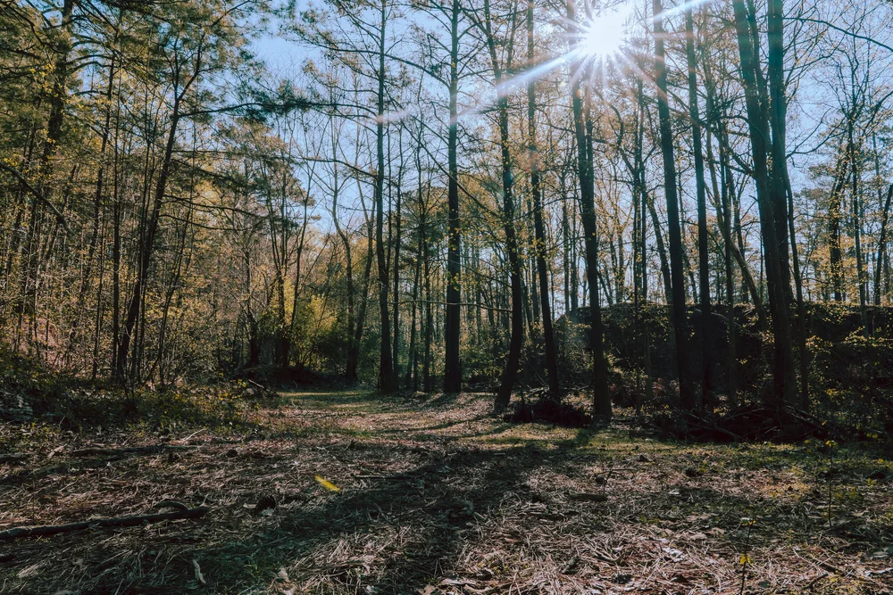 Solo Camping at Red Top Mountain State Park in Acworth, GA