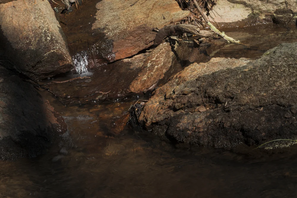 Solo Camping at Red Top Mountain State Park in Acworth, GA