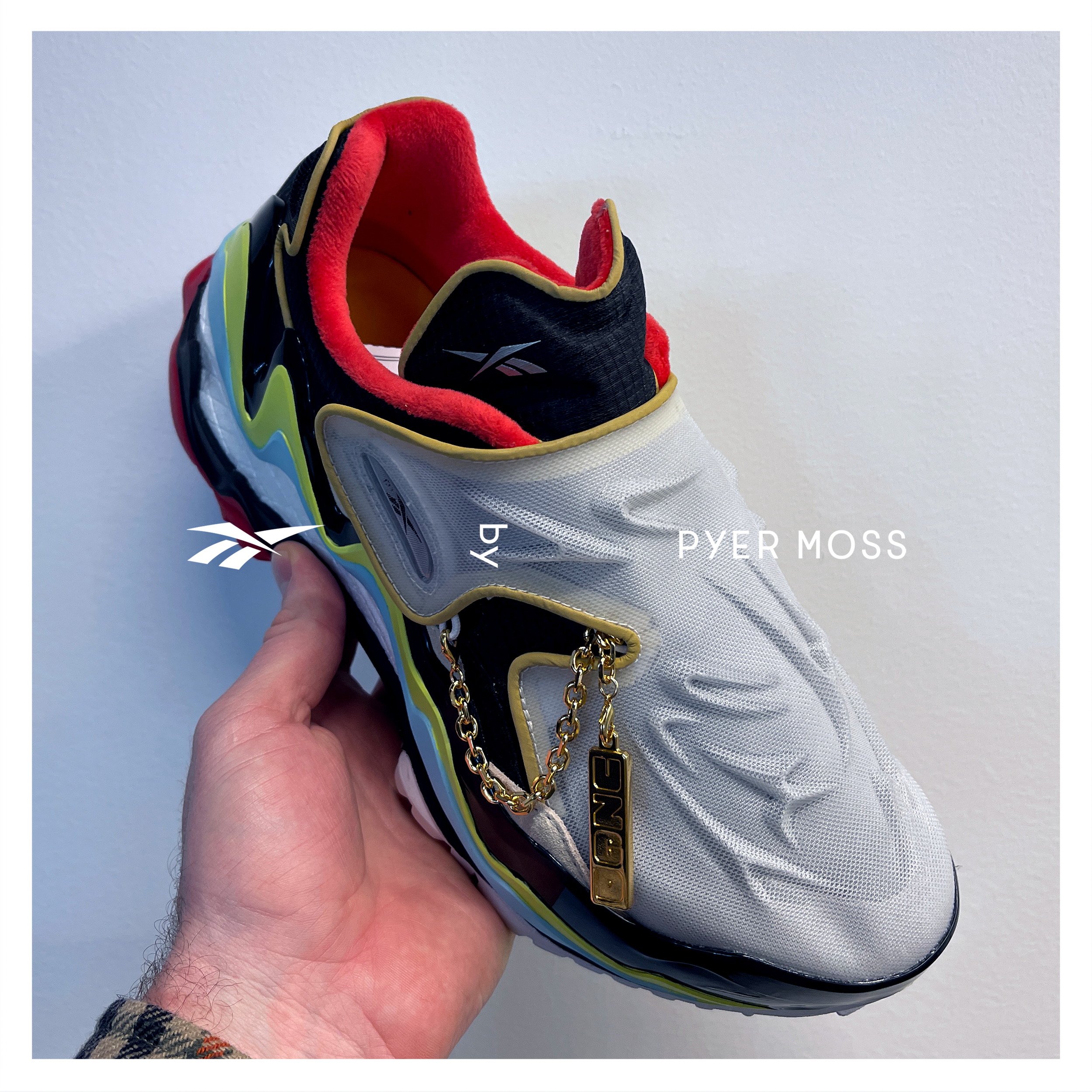 pyermoss expiriment G V2 002.png