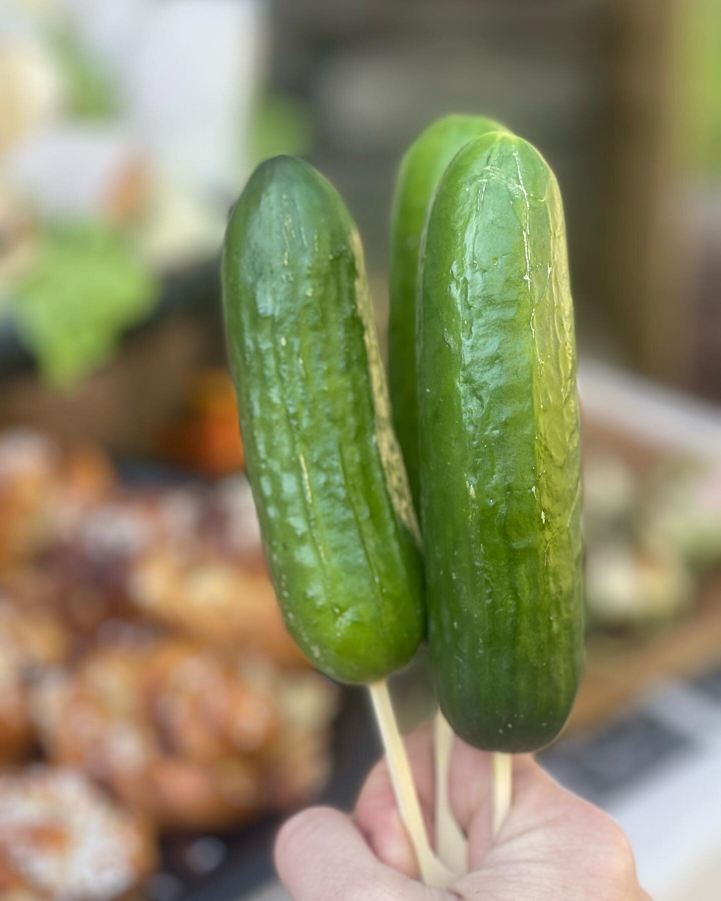 Mest poppis (f&ouml;rutom bullarna och sm&ouml;rrebr&ouml;den) p&aring; g&aring;rdagens marknadsdag; barnens minigurkor satta p&aring; spett av oss och levererade fr&aring;n Varberg av @bondensskafferivast samt hundbaren till v&aring;ra fyrbenta v&au