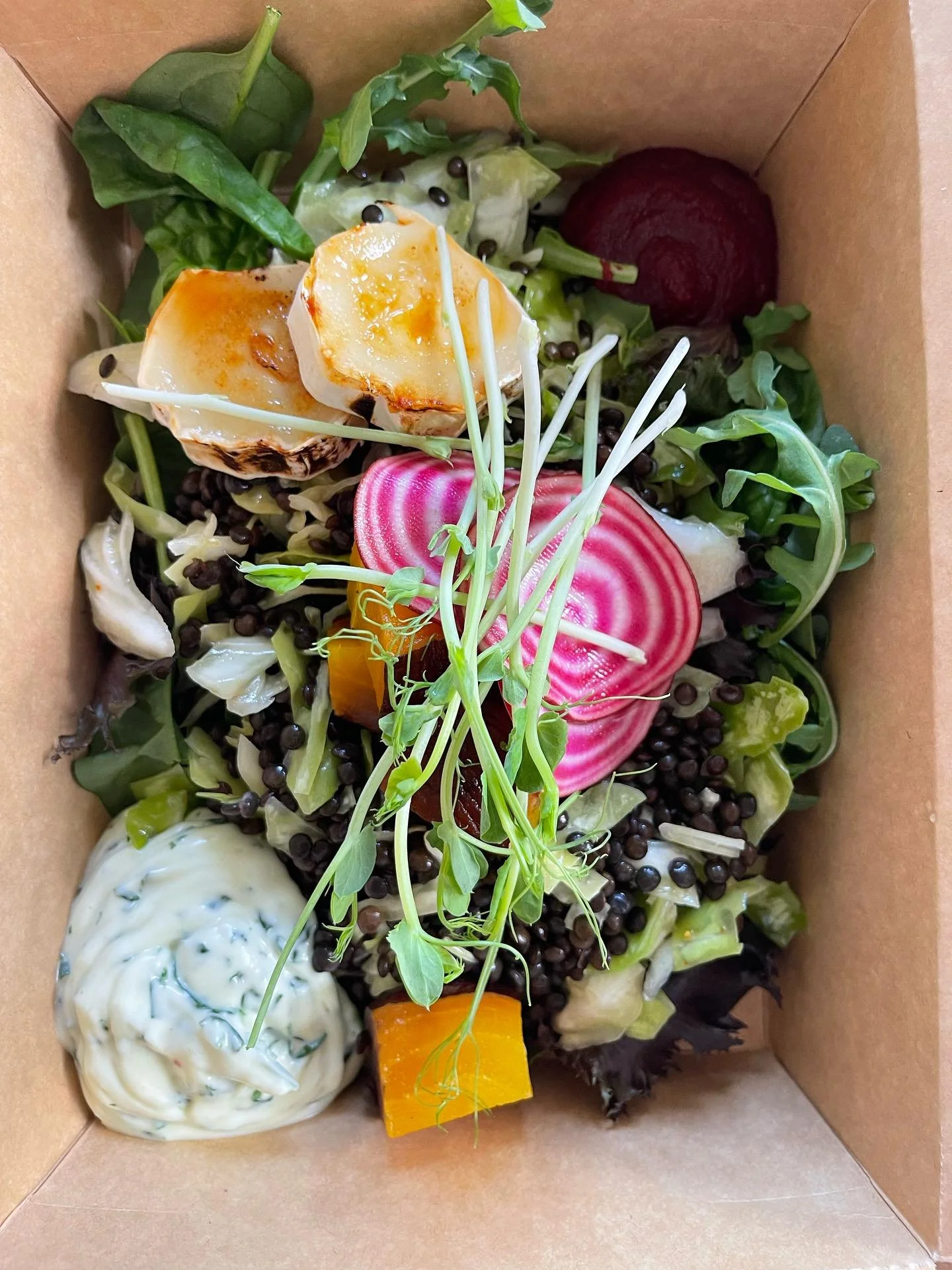 En av dagens färgglada leveranser; Salladen ”Betan” med belugalinser, spetskål, bakade gulbetor, rödbetscréme, picklade polkabetor, karamelliserad getost, ärtskott och örtcréme!