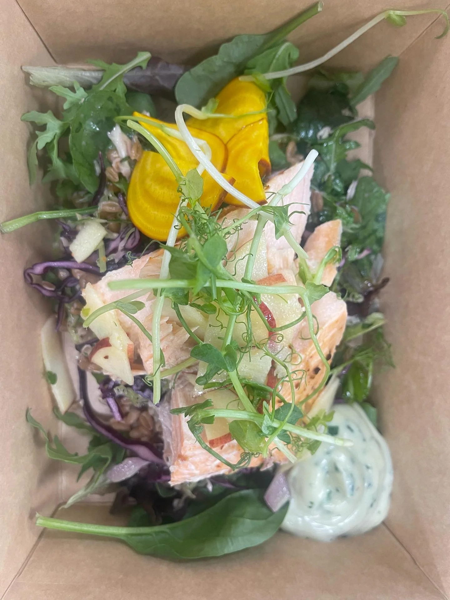 Lunchsallader påväg ut till kund. Sötsyrlig dinkelsallad med savoykål, rödkål, senap och persilja, picklad gulbeta, bakad lax, örtcreme med dragon och persilja. Toppad med nyskördade äpplen och ärt