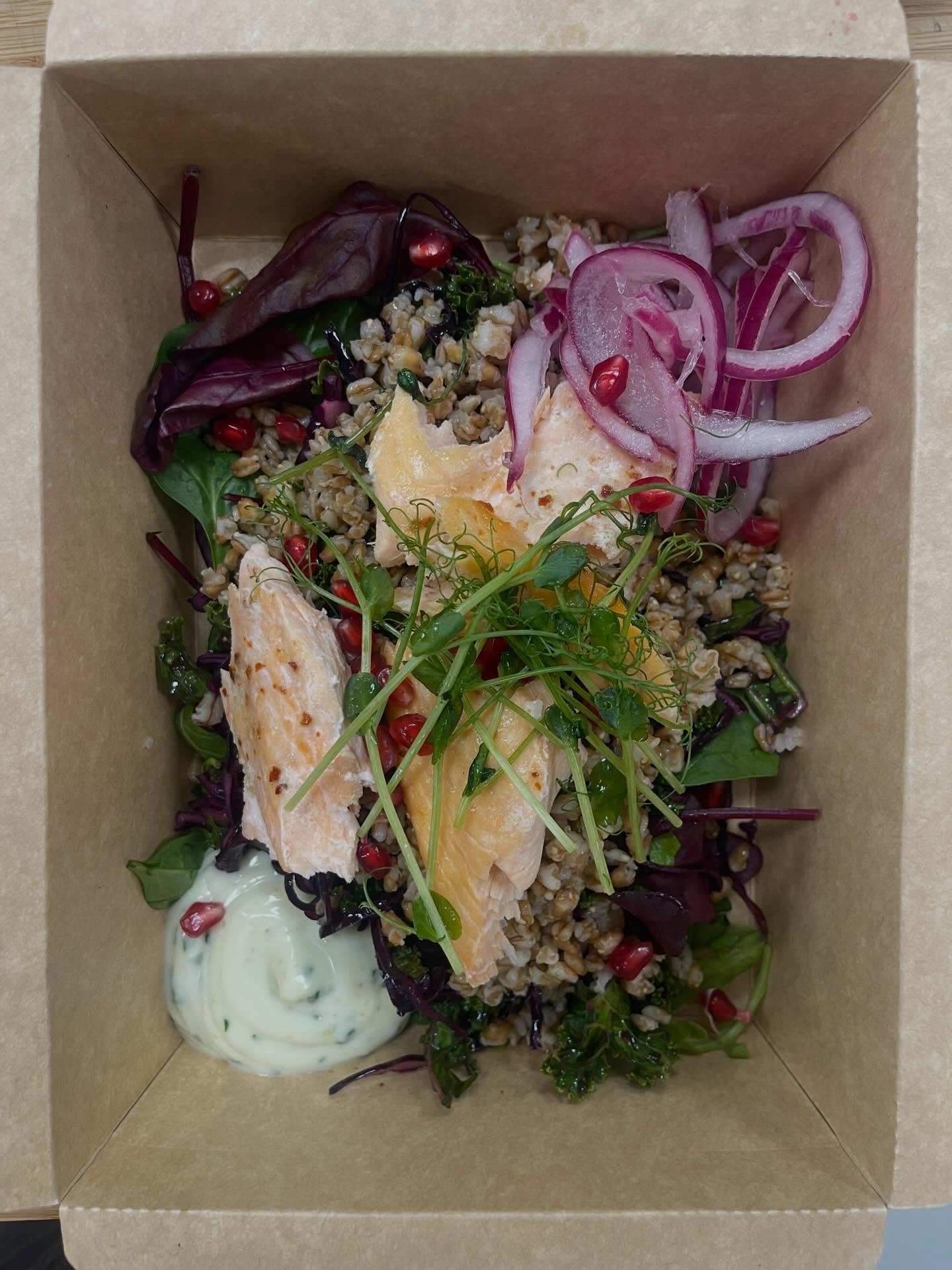 25 s&auml;songens sallad redo f&ouml;r leverans. Apelsin- och balsamvin&auml;gerkramad gr&ouml;nk&aring;l och r&ouml;dk&aring;l, matvete, picklad r&ouml;dl&ouml;k, granat&auml;pple och &ouml;rtcr&egrave;me med persilja och apelsin. Dagen till &auml;r