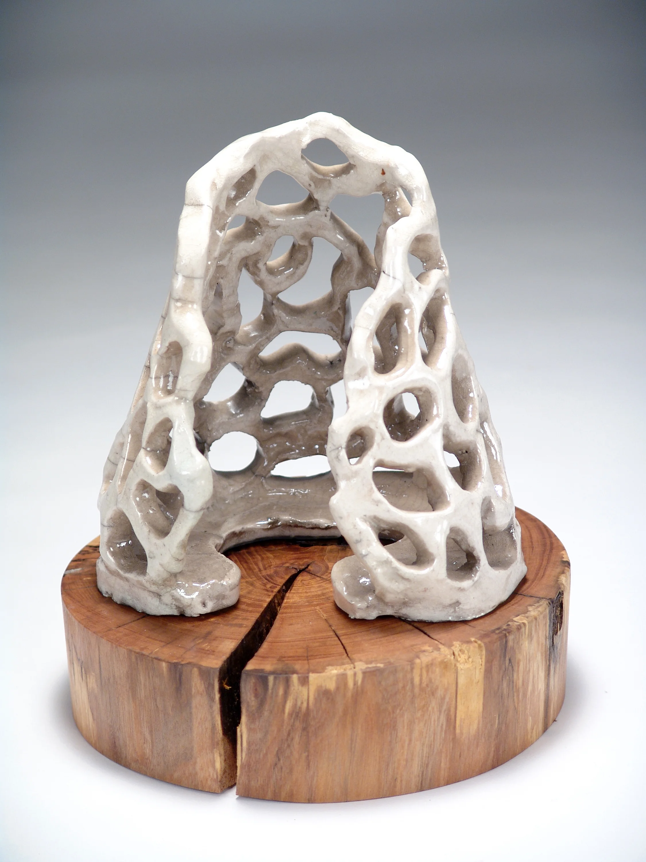 Biggio_Mitchell_Labyrinth Shell.JPG