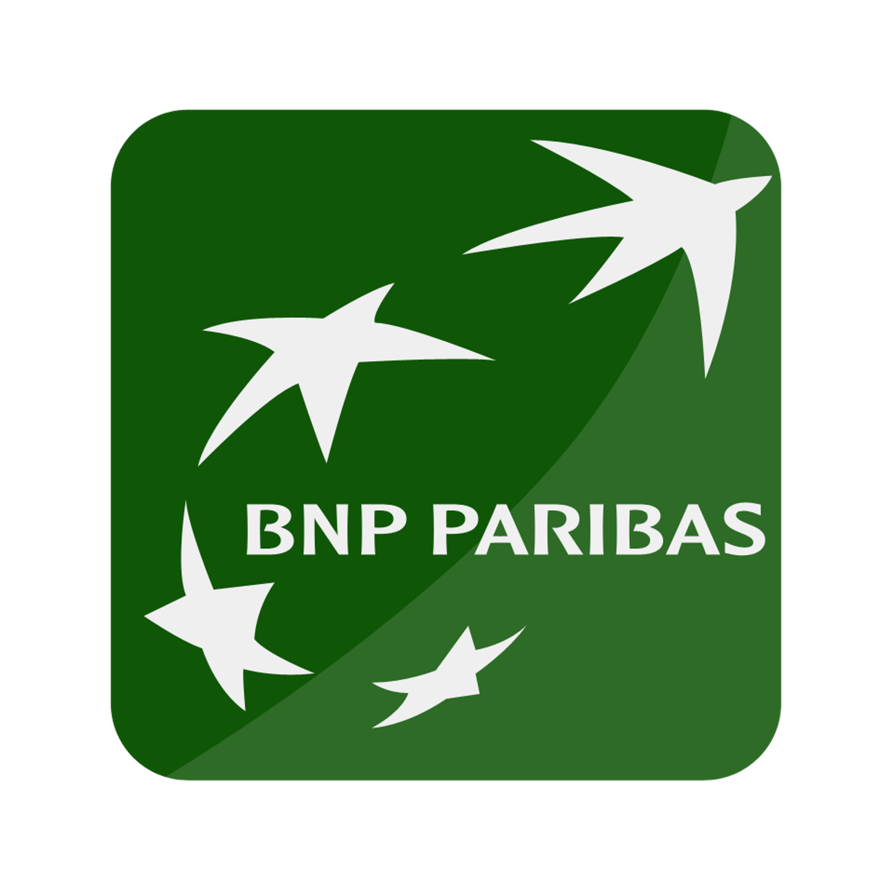 BNP logo.png