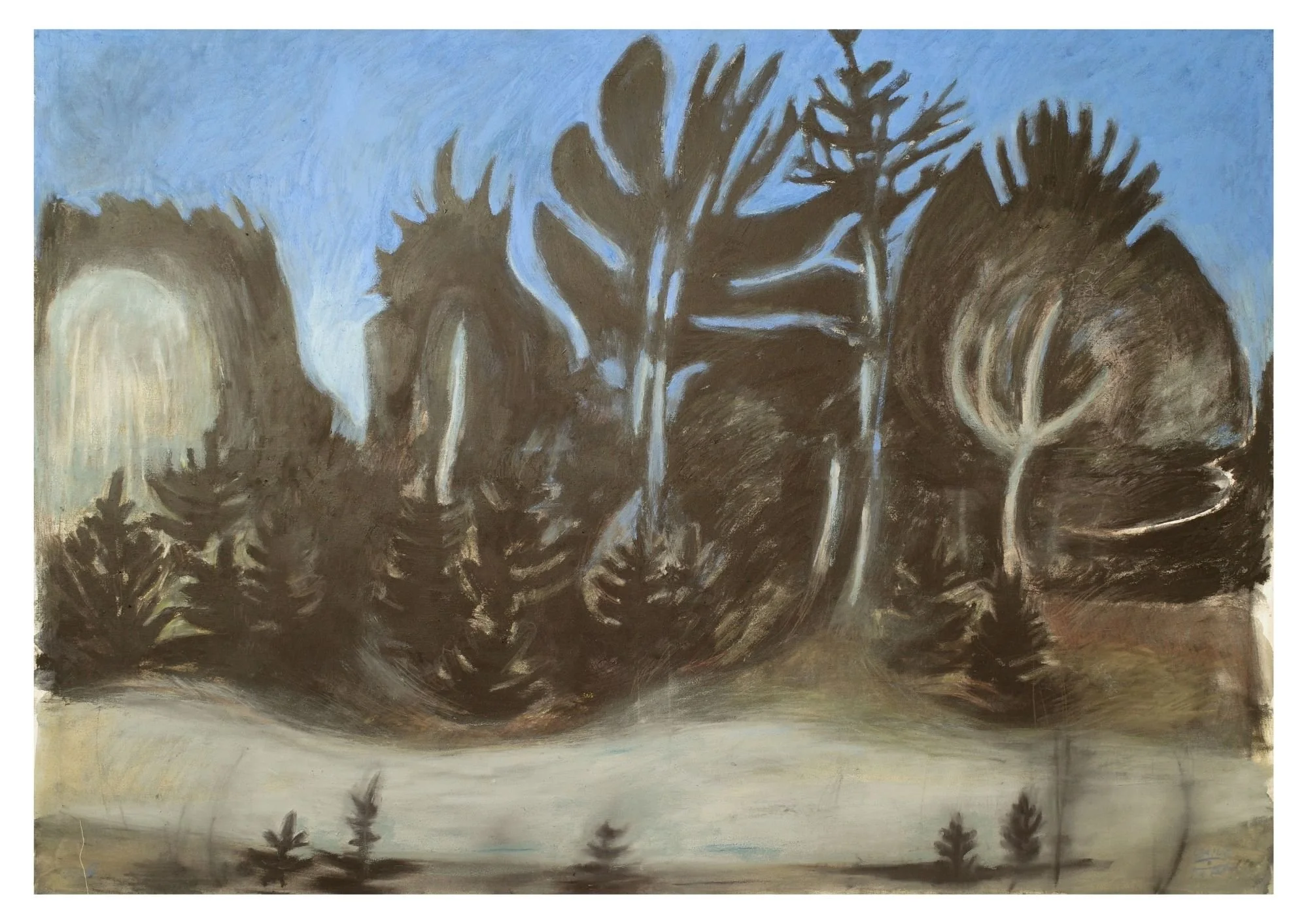 Dicrano-Pinion by Emilia Durka