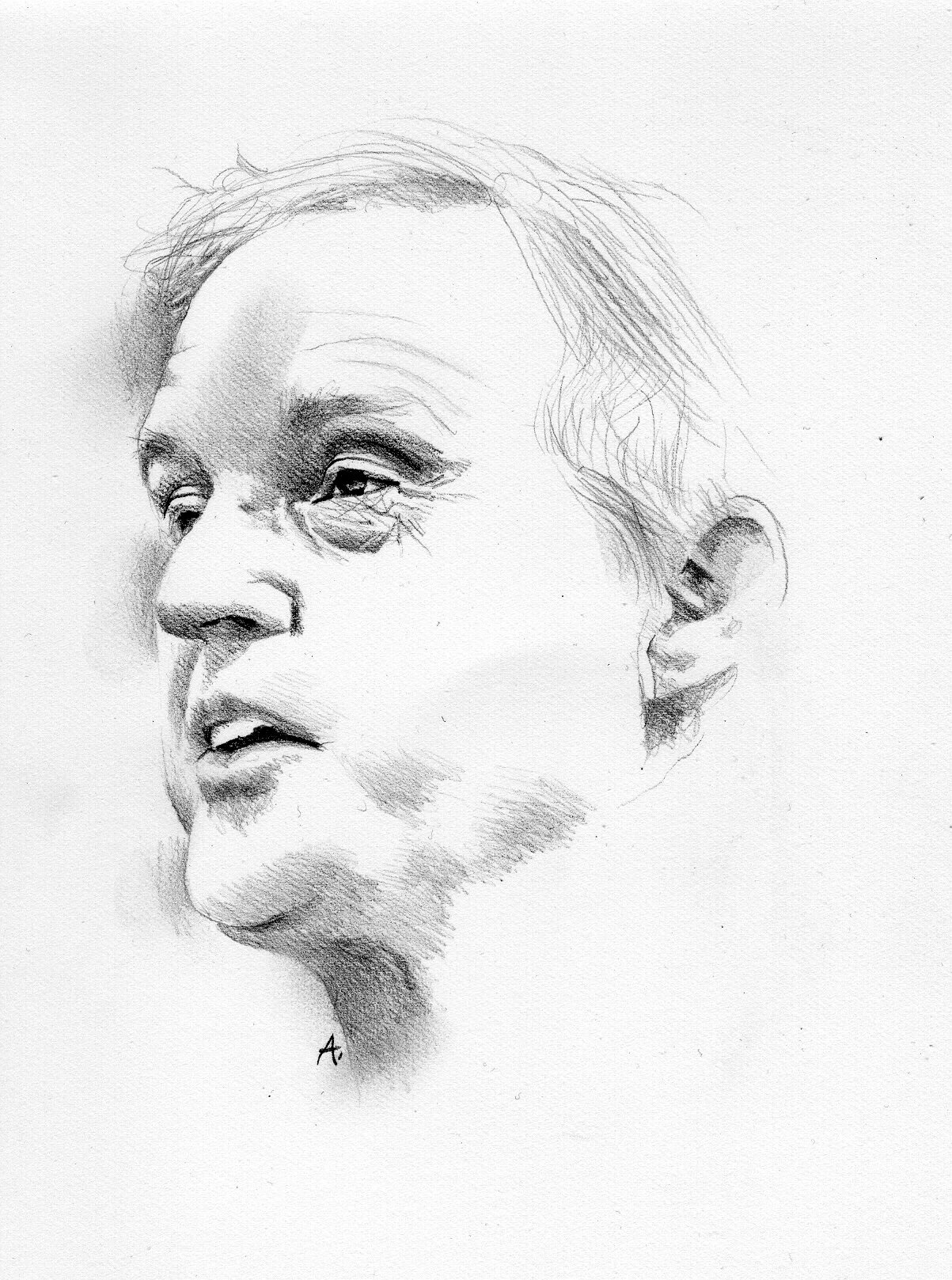 portraits — susan avishai