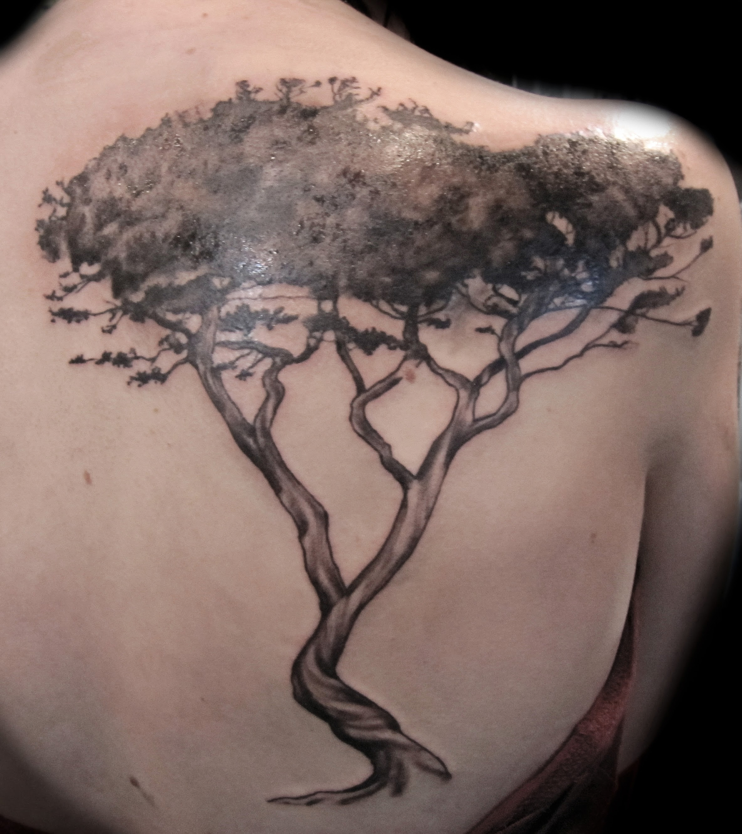 Black tree on back.jpg